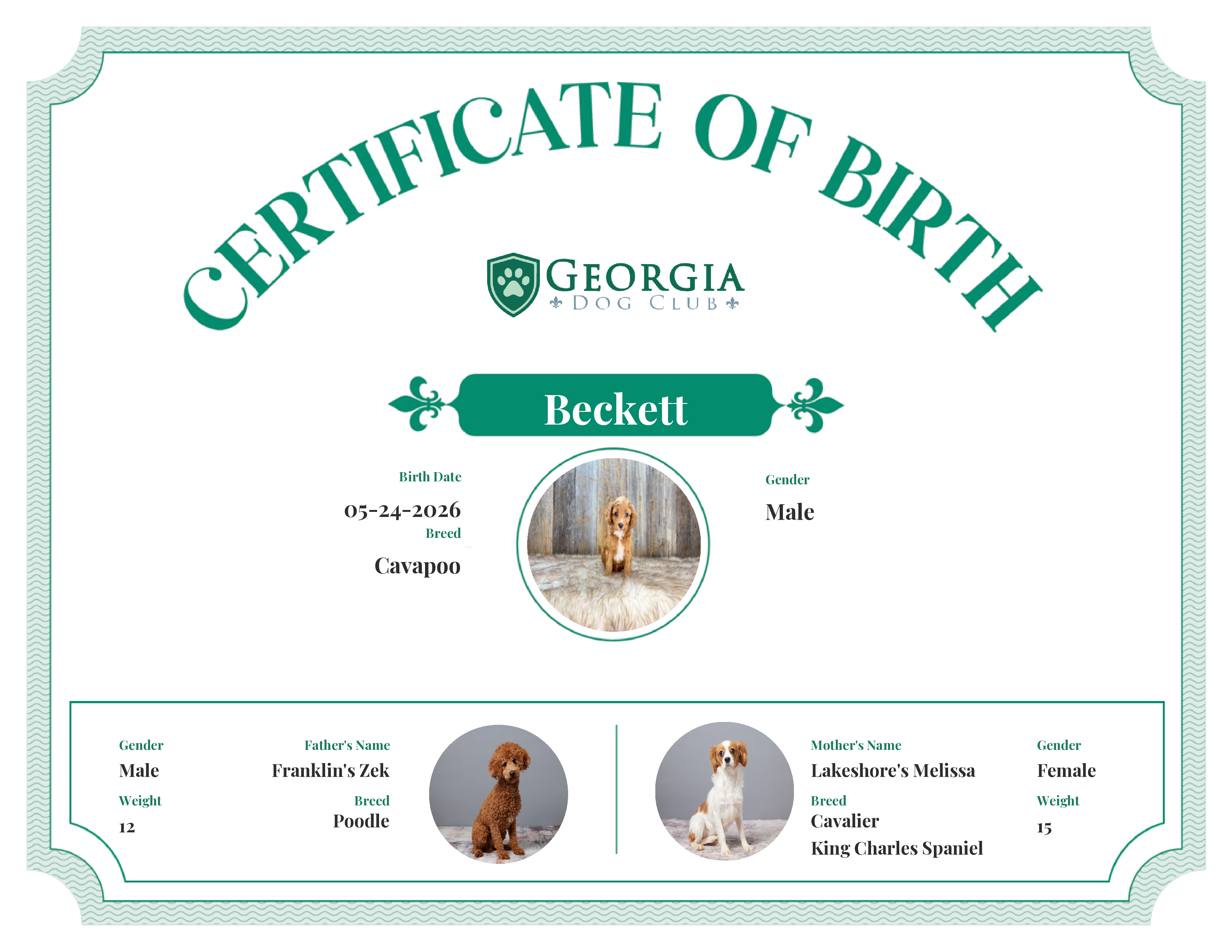 Beckett's Birth Certificate