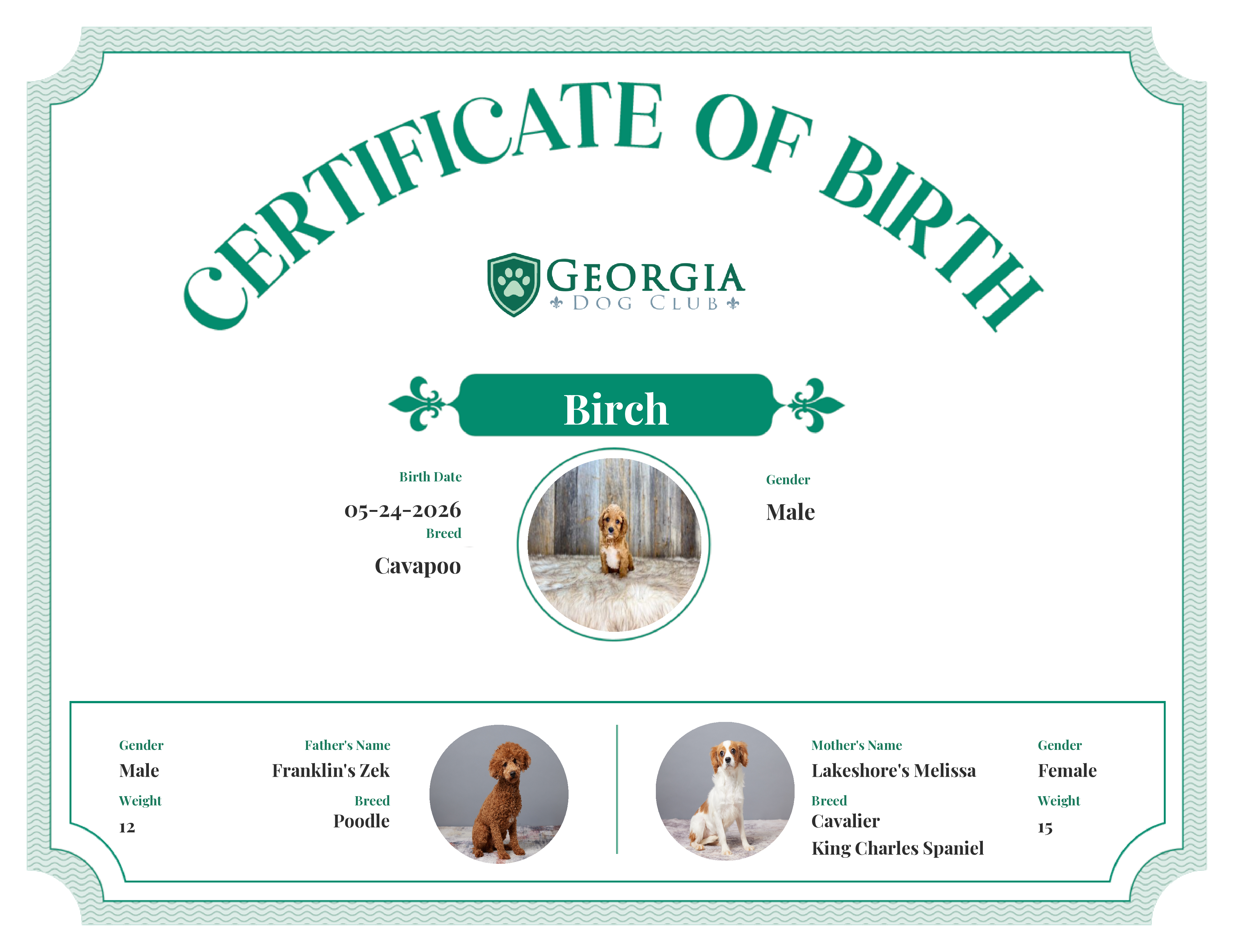 Birch's Birth Certificate