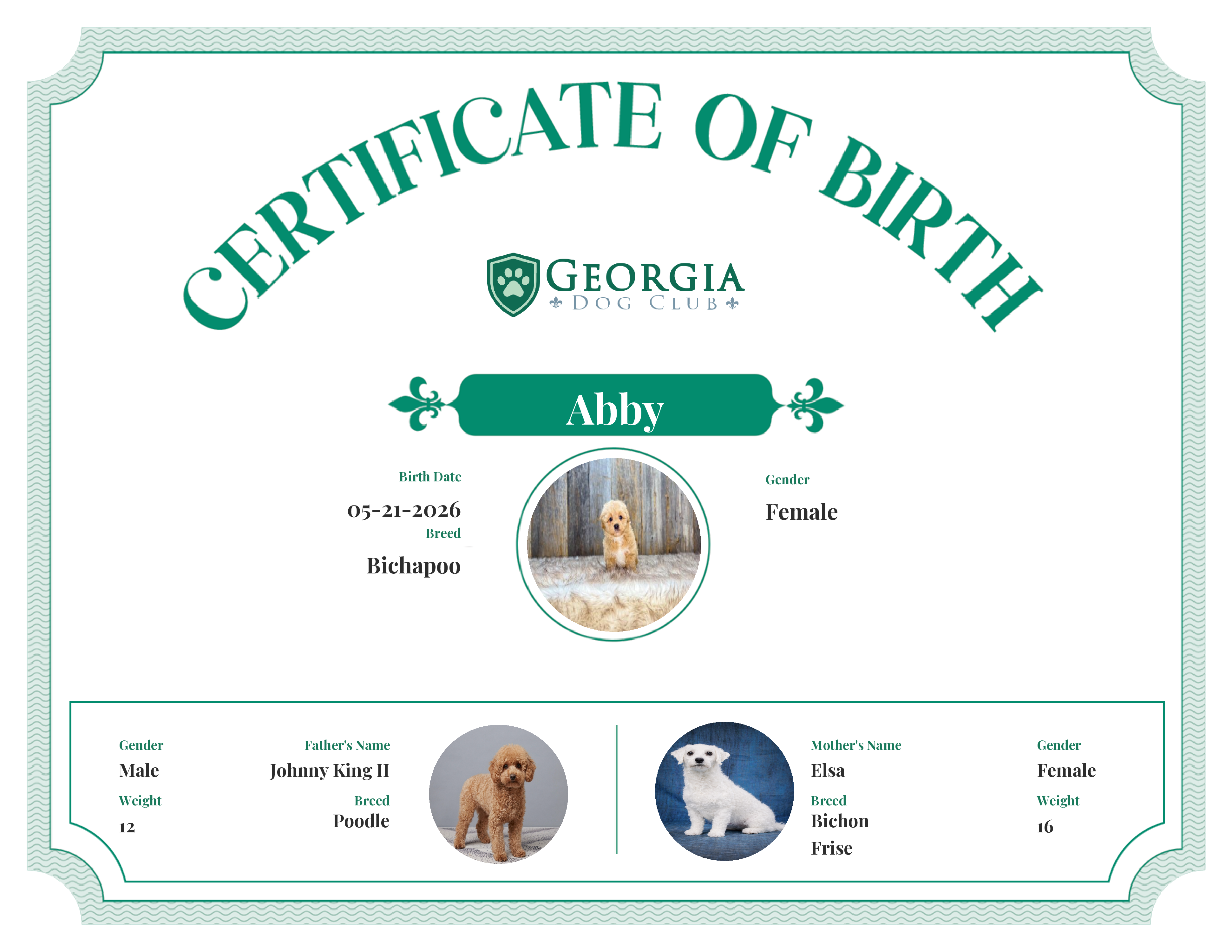Abby's Birth Certificate