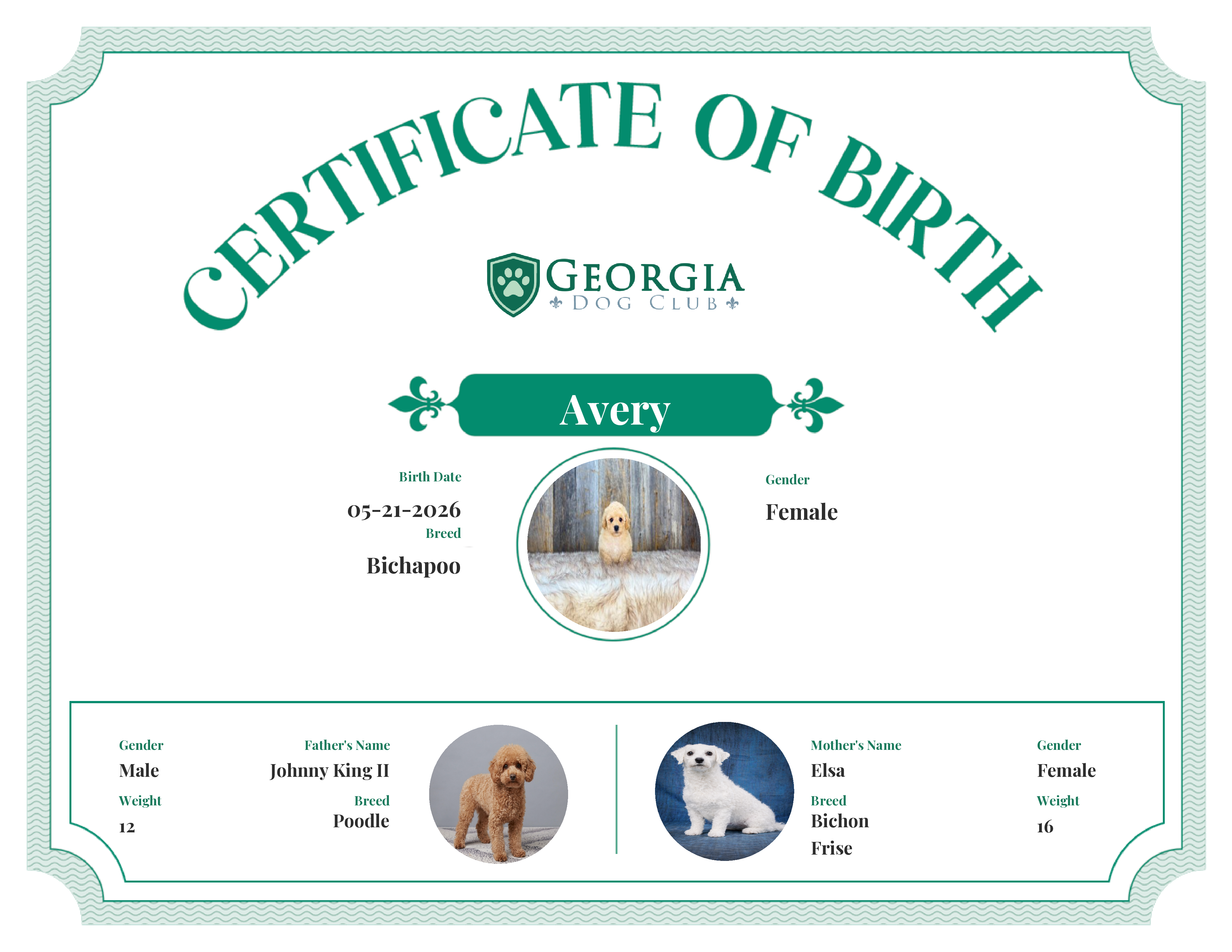 Avery's Birth Certificate