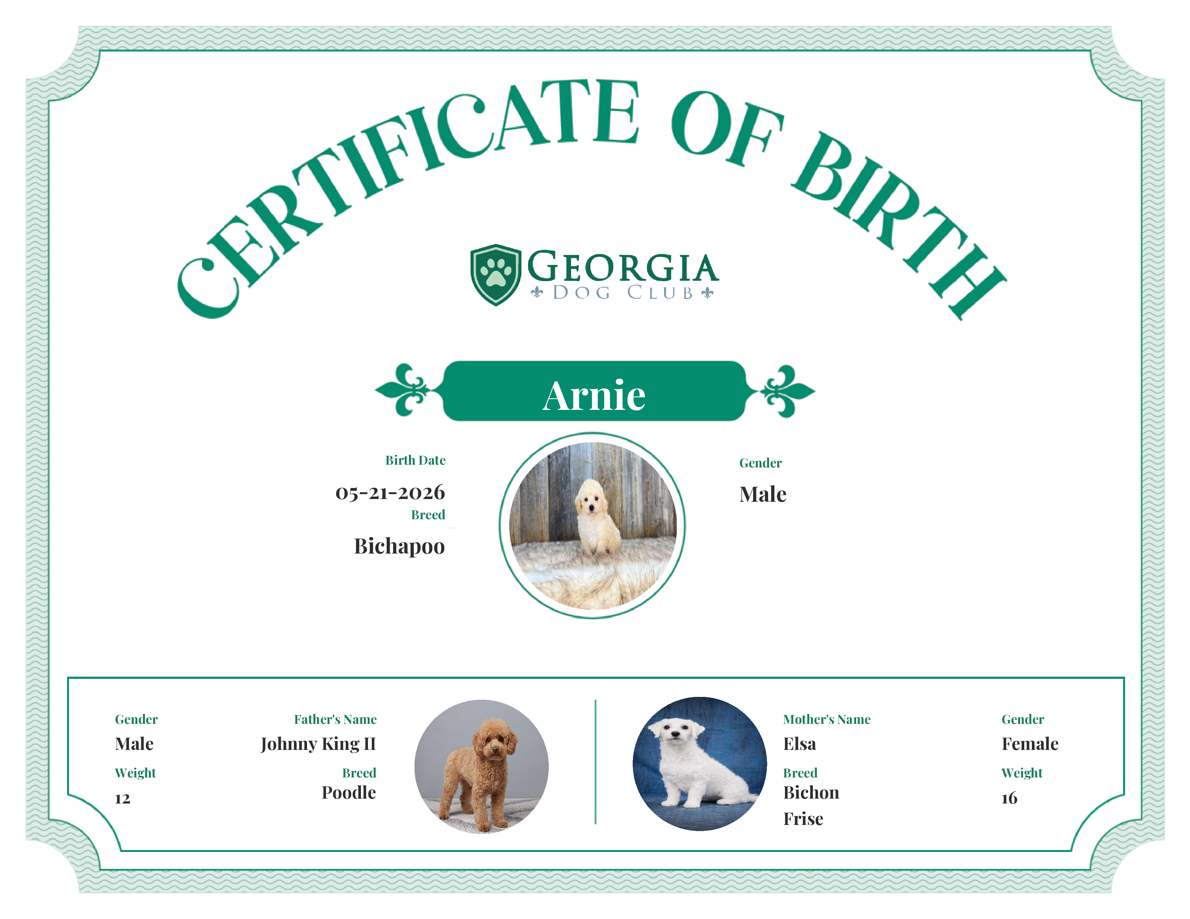 Arnie's Birth Certificate