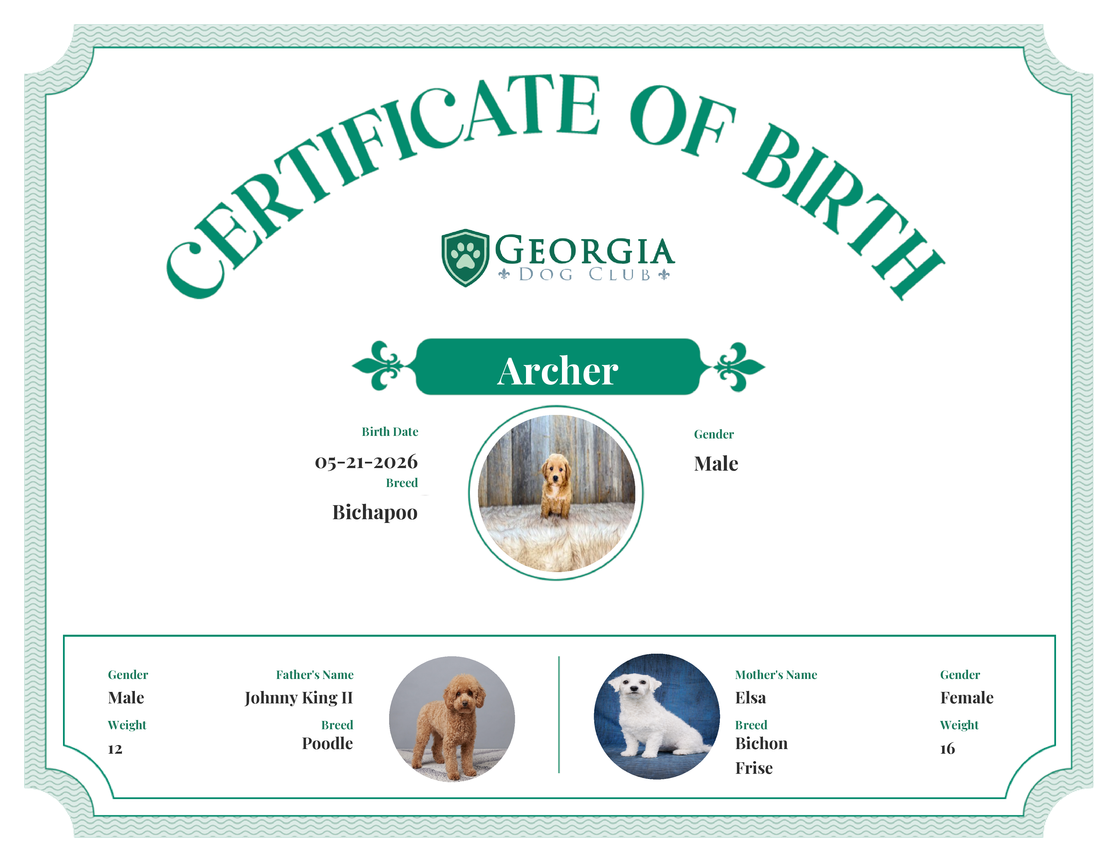 Archer's Birth Certificate