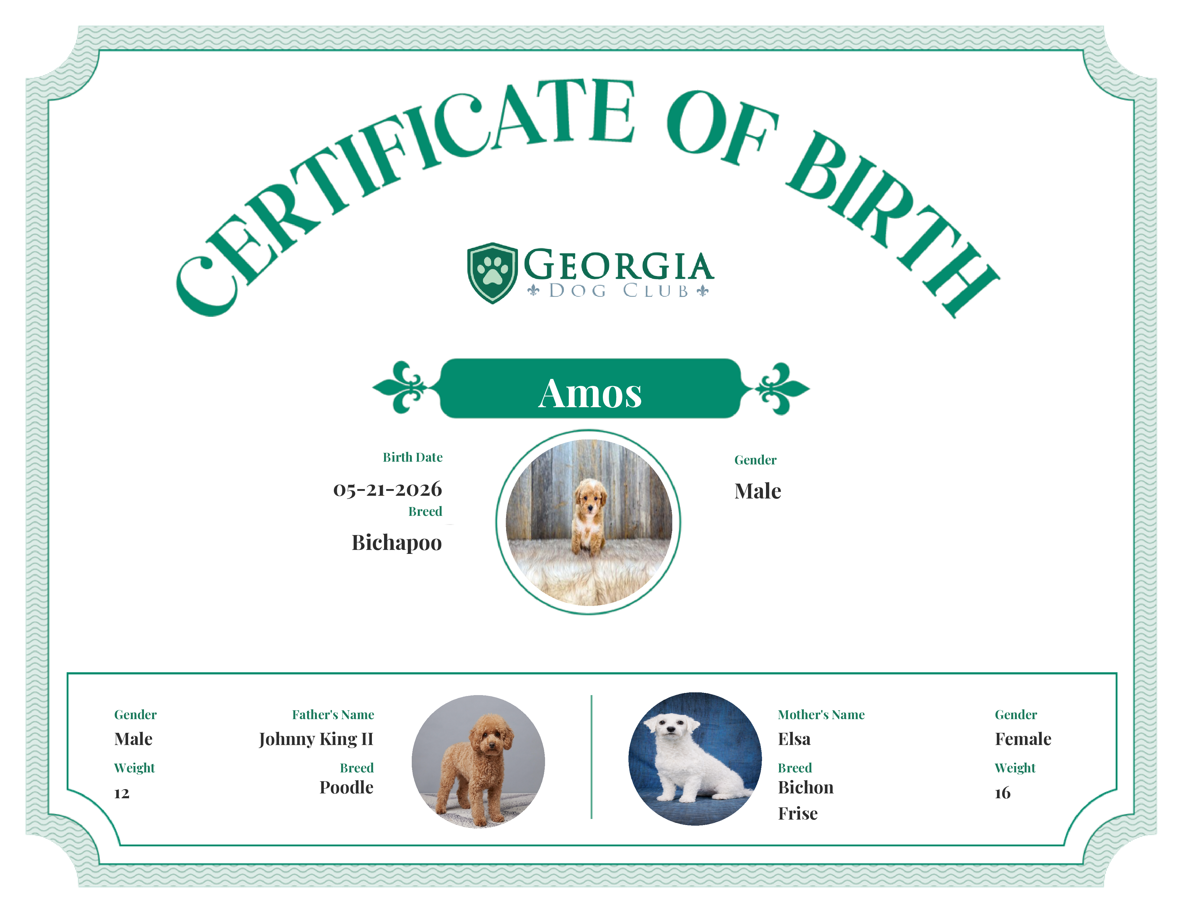 Amos's Birth Certificate