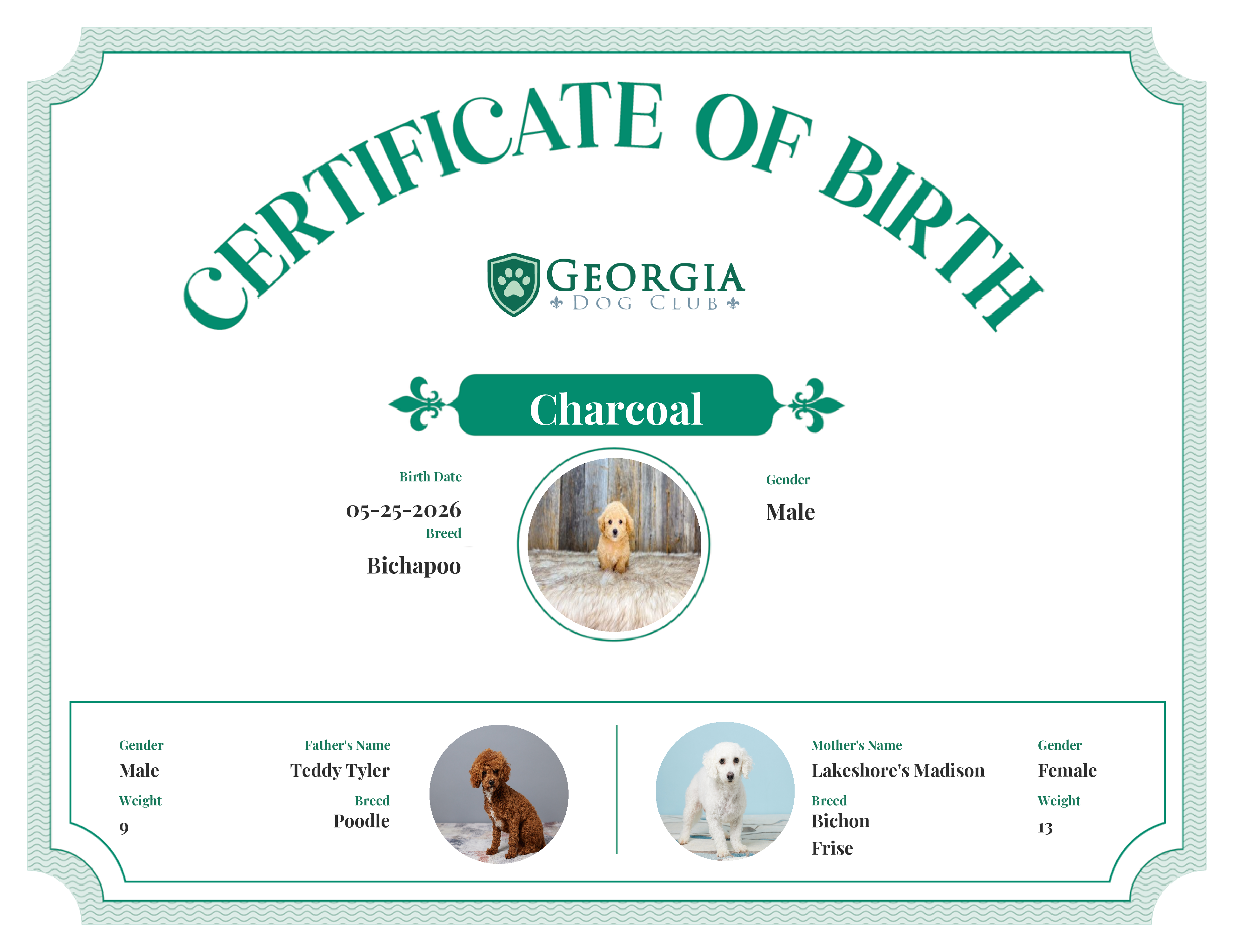 Charcoal's Birth Certificate