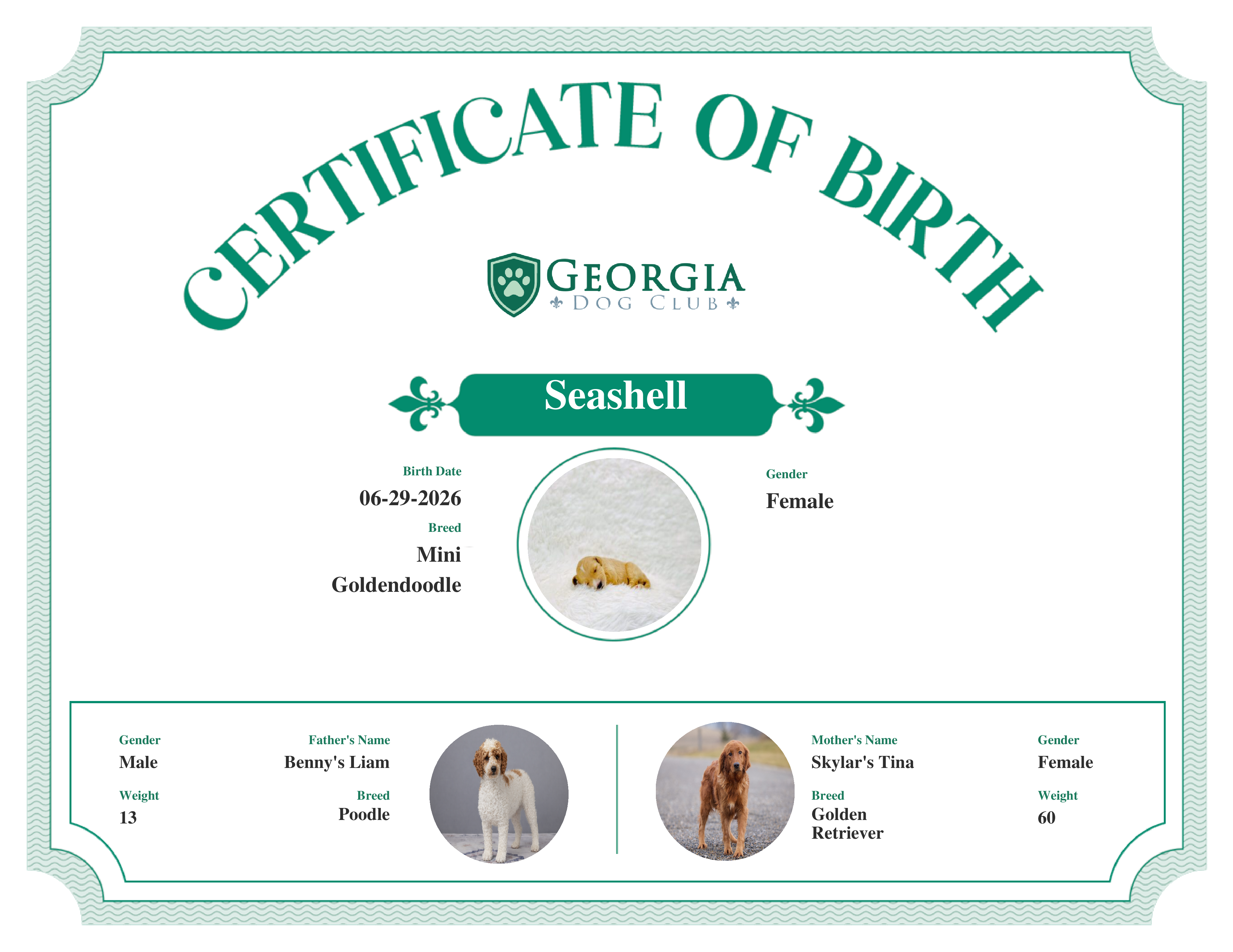 Seashell's Birth Certificate