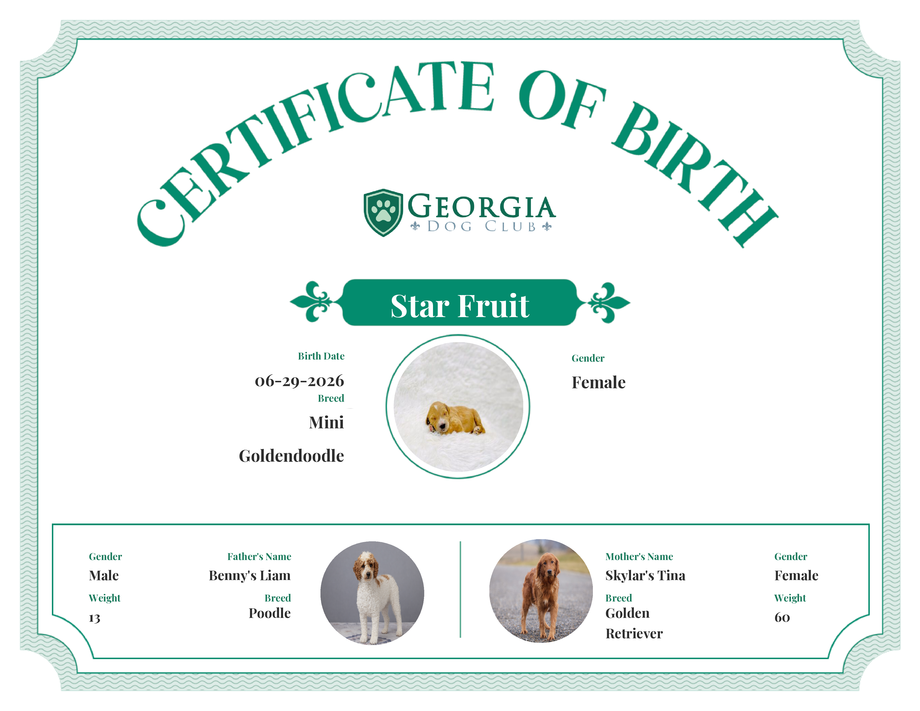 Star Fruit's Birth Certificate
