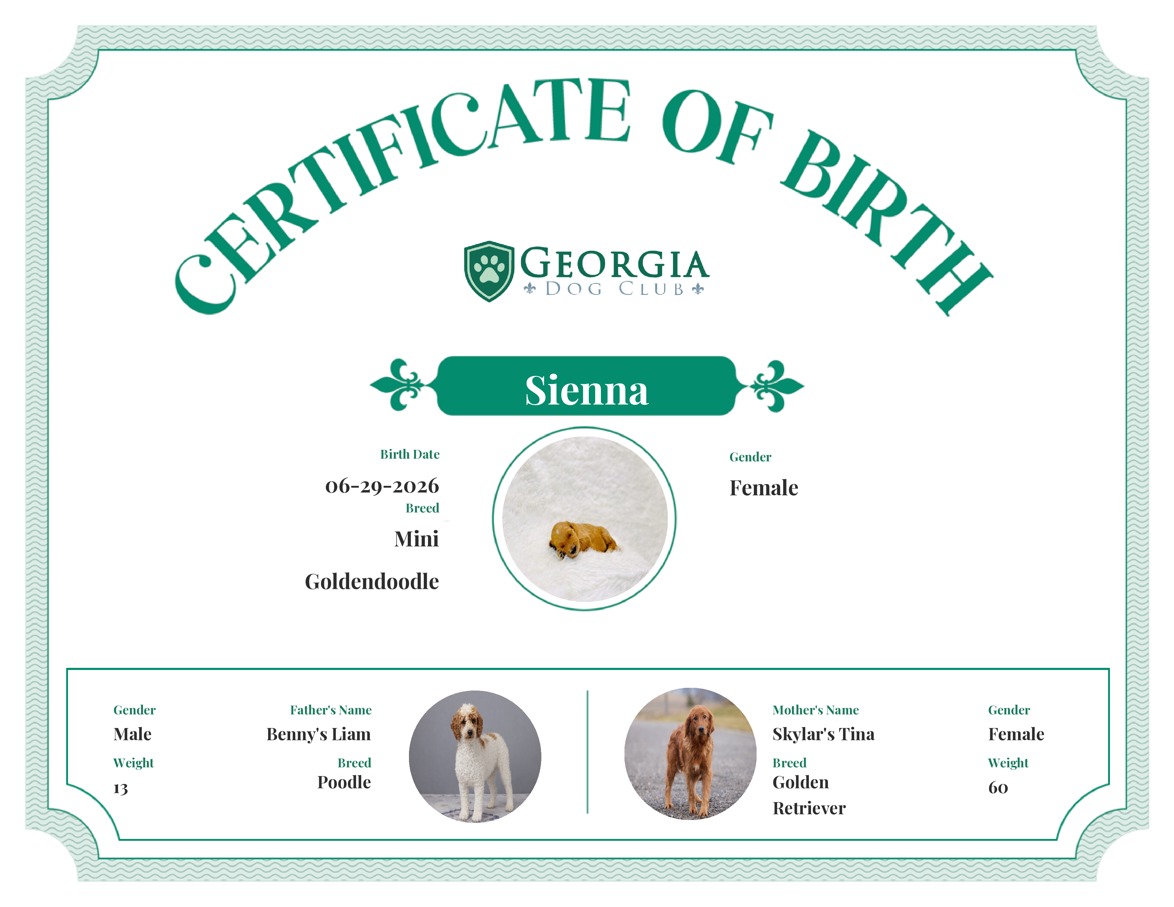 Sienna's Birth Certificate