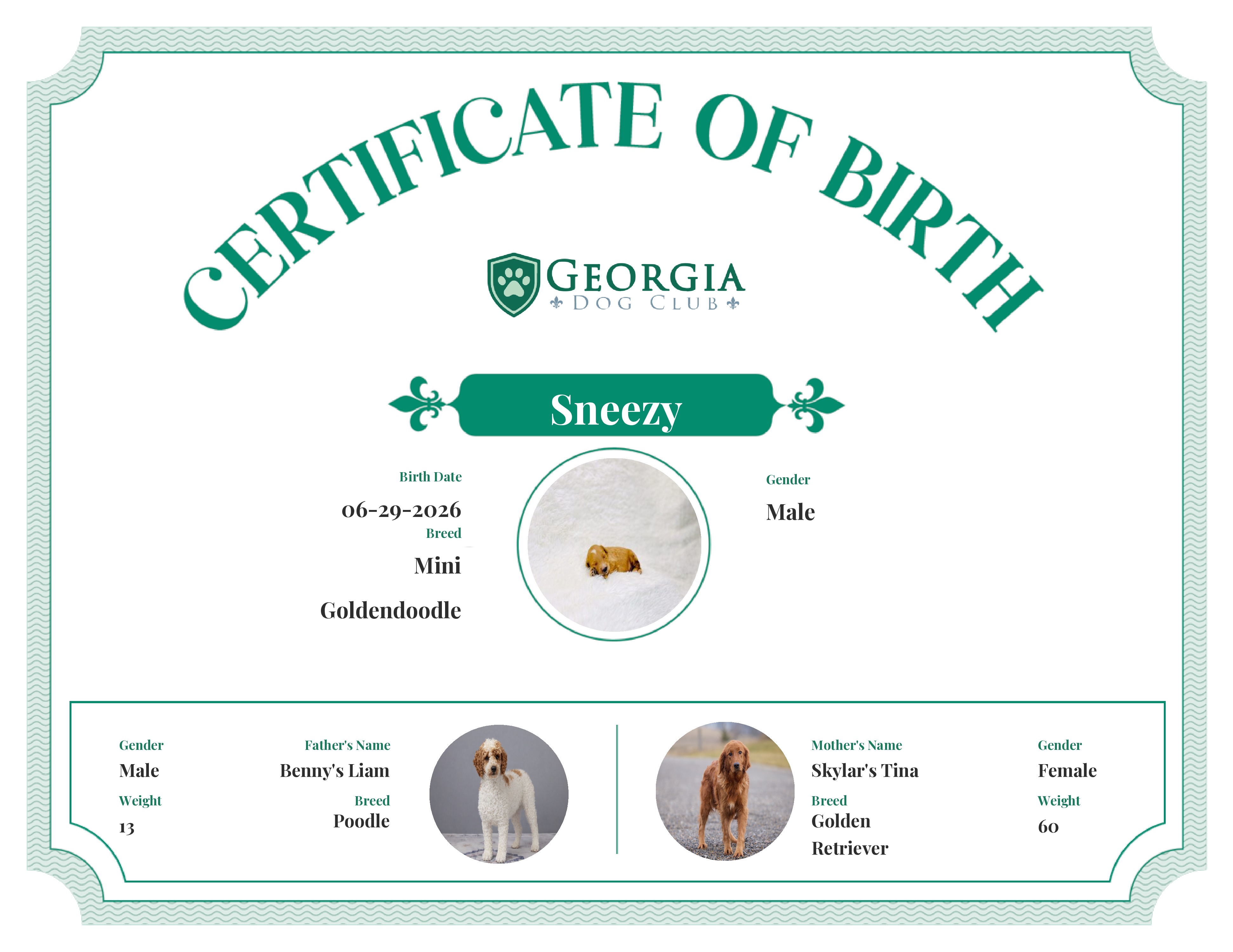 Sneezy's Birth Certificate
