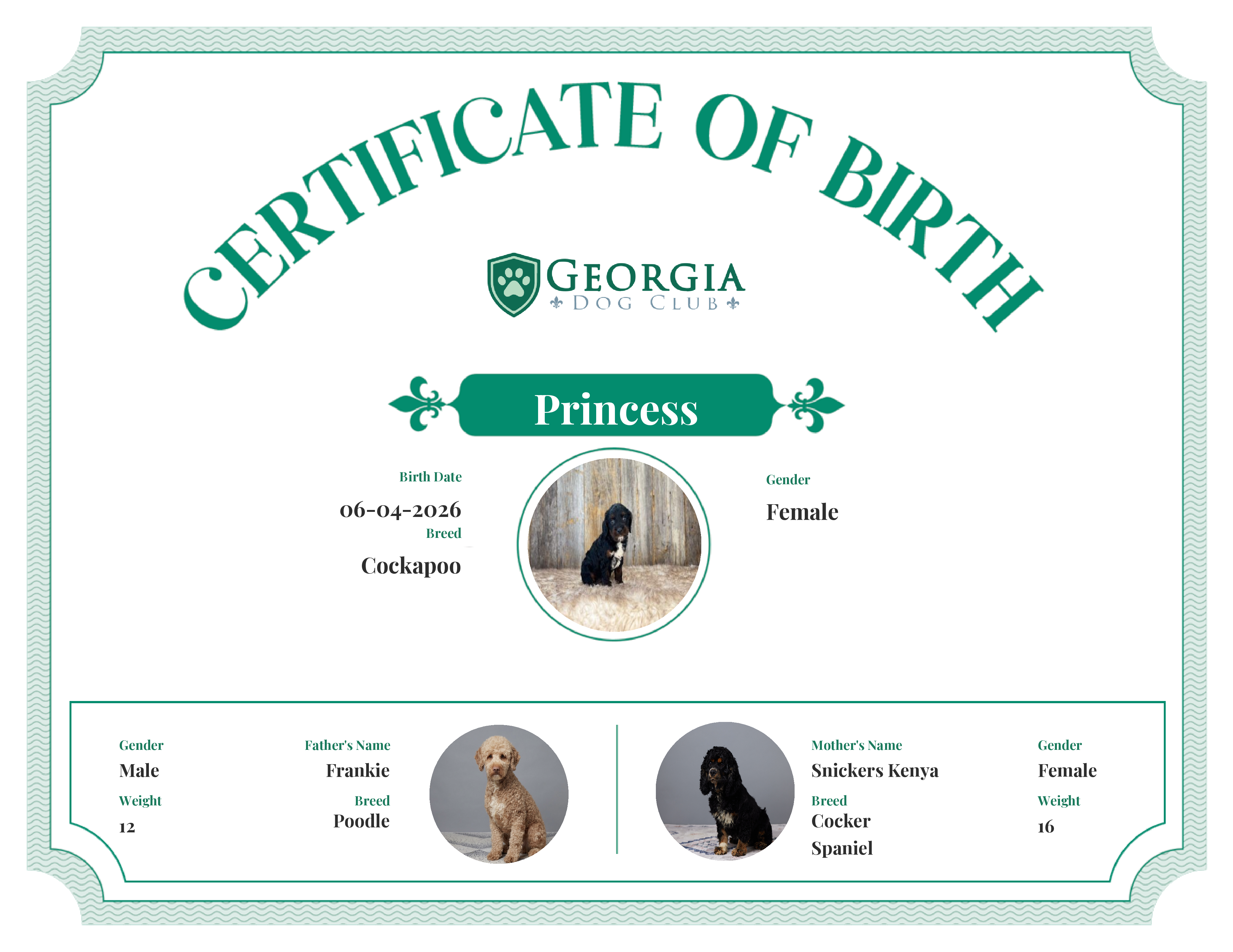 Princess's Birth Certificate
