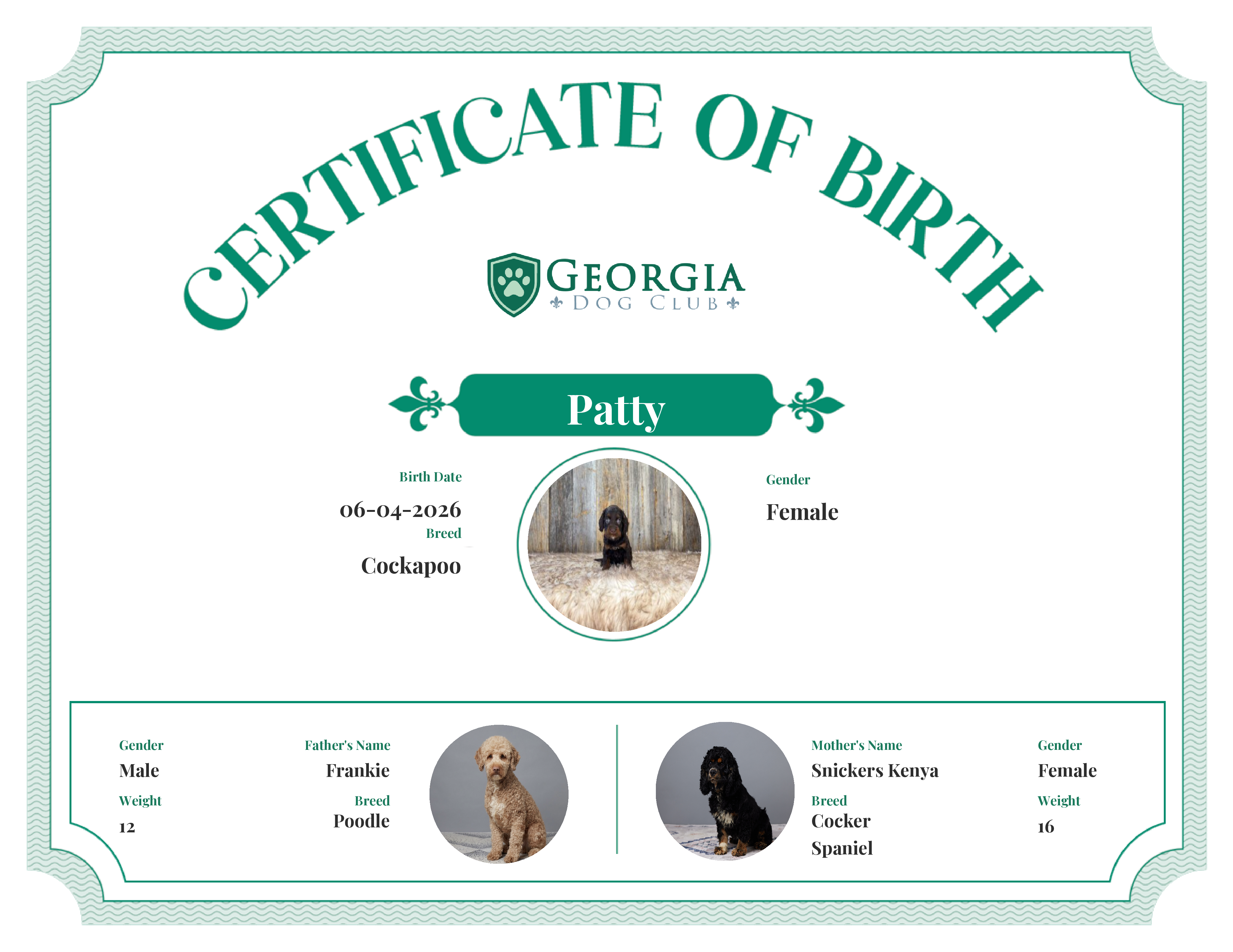 Patty's Birth Certificate