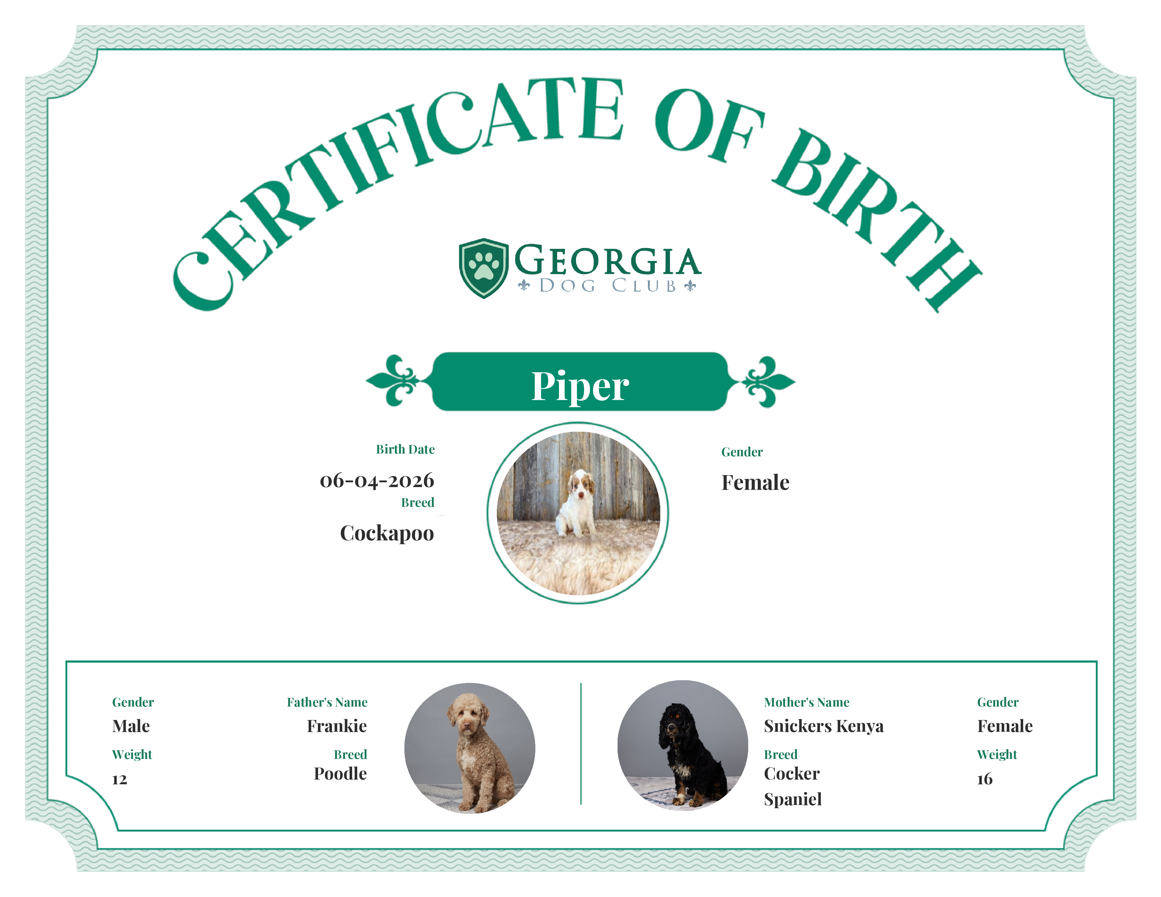 Piper's Birth Certificate