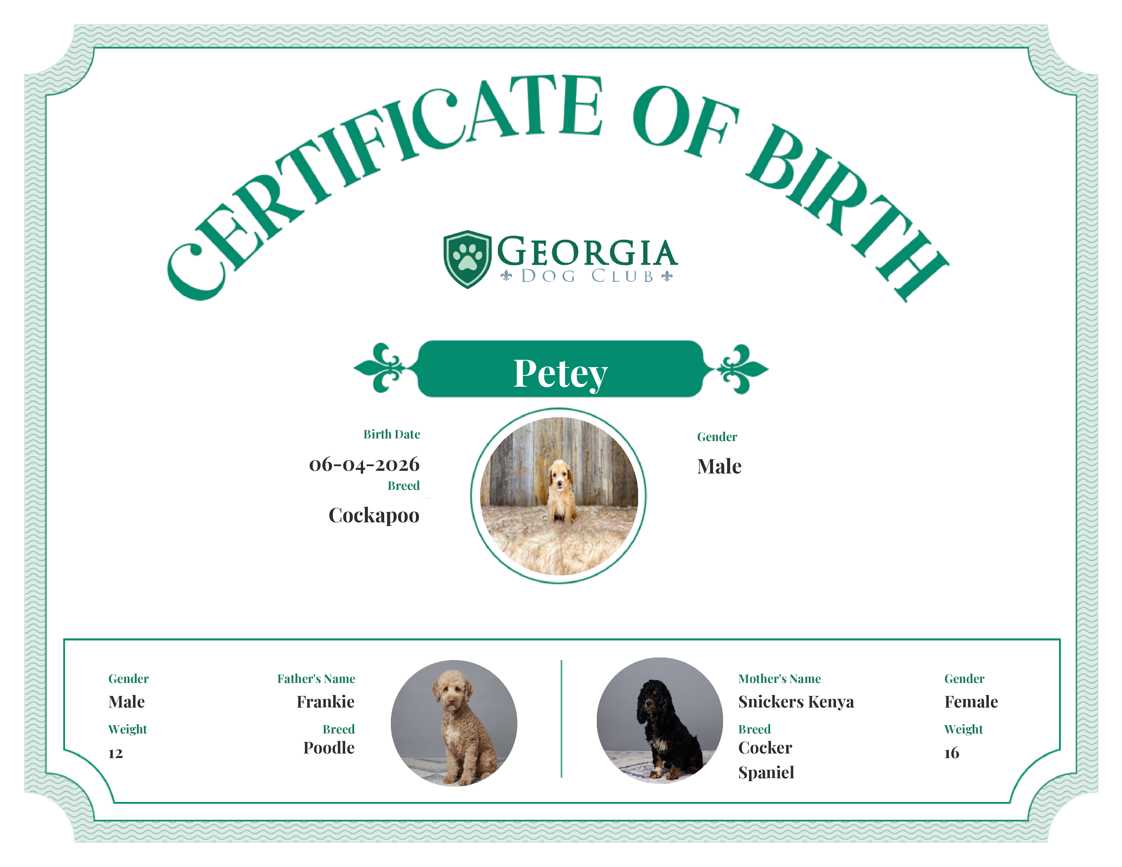 Petey's Birth Certificate