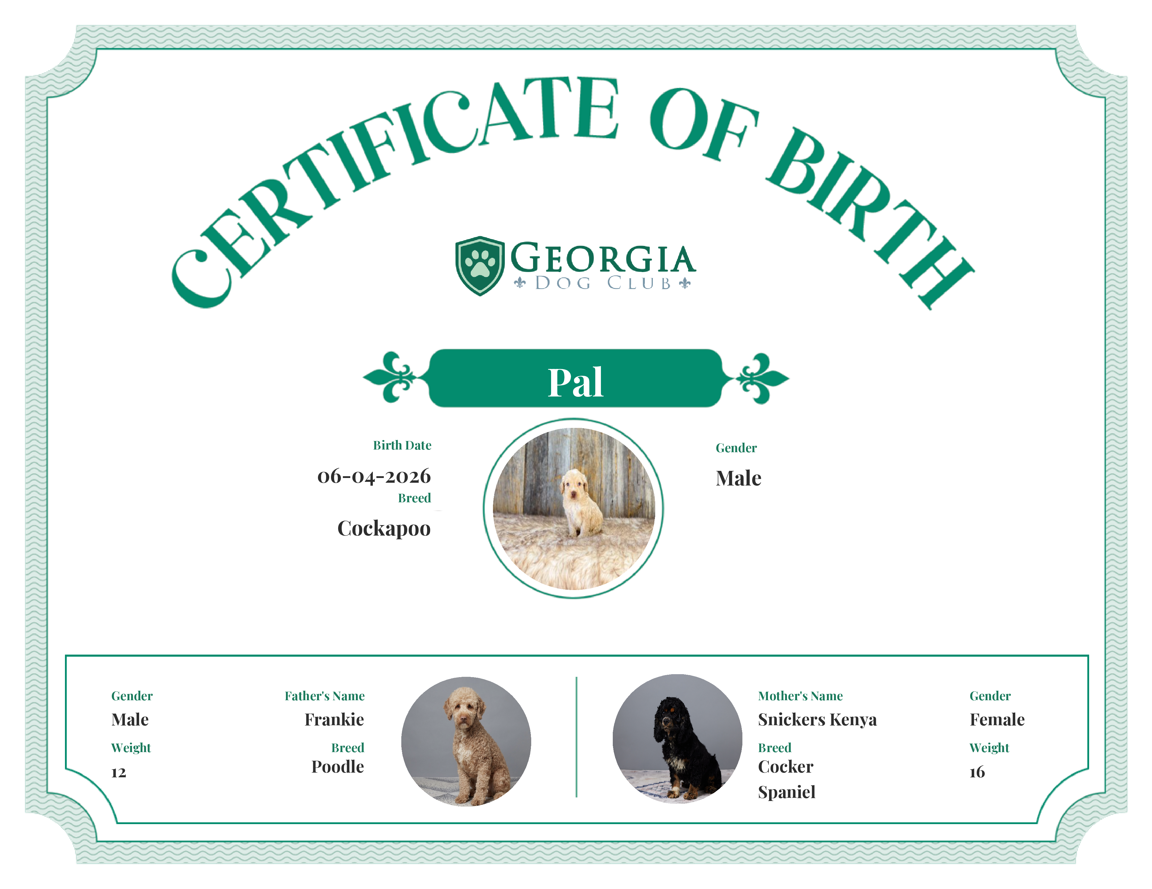 Pal's Birth Certificate