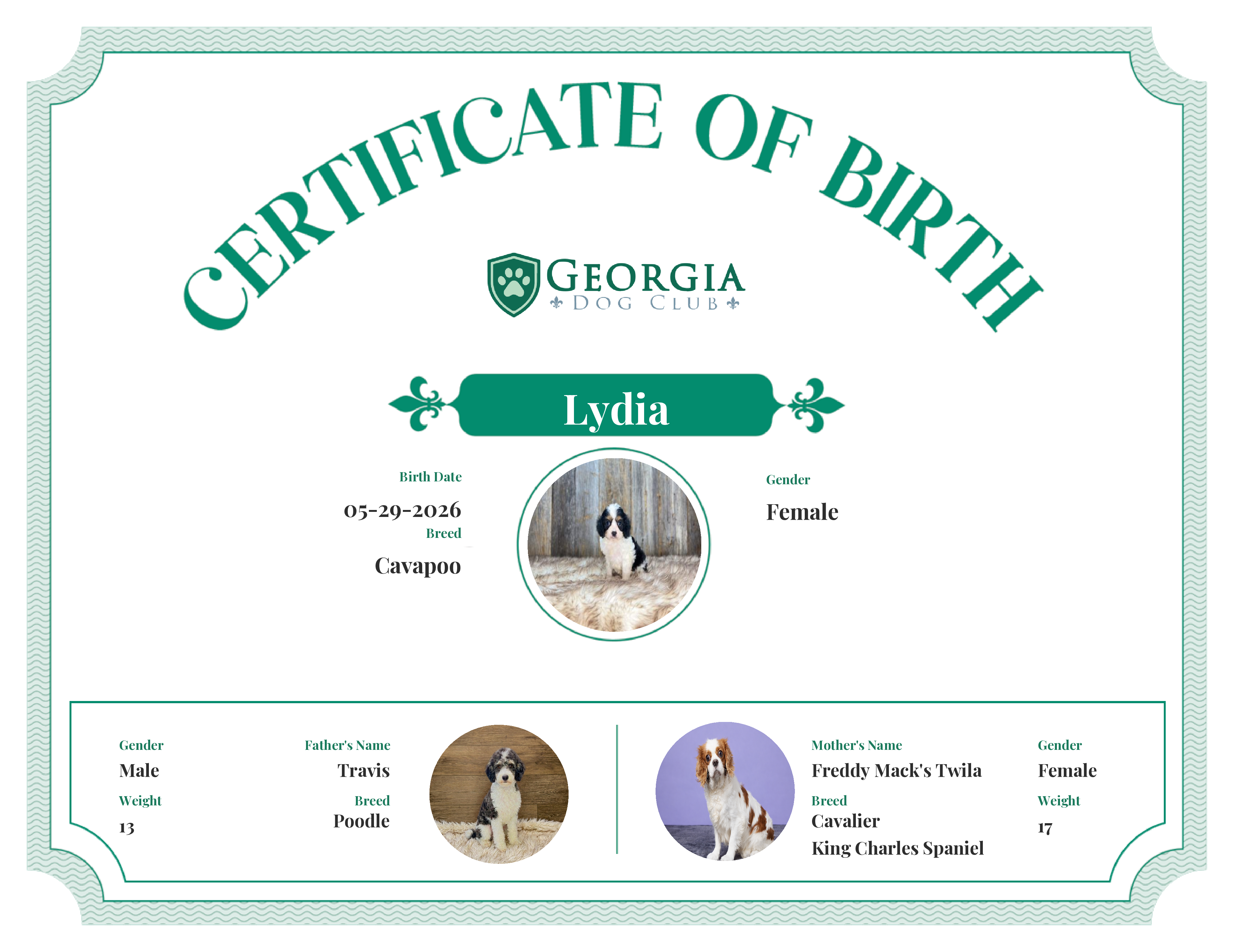 Lydia's Birth Certificate