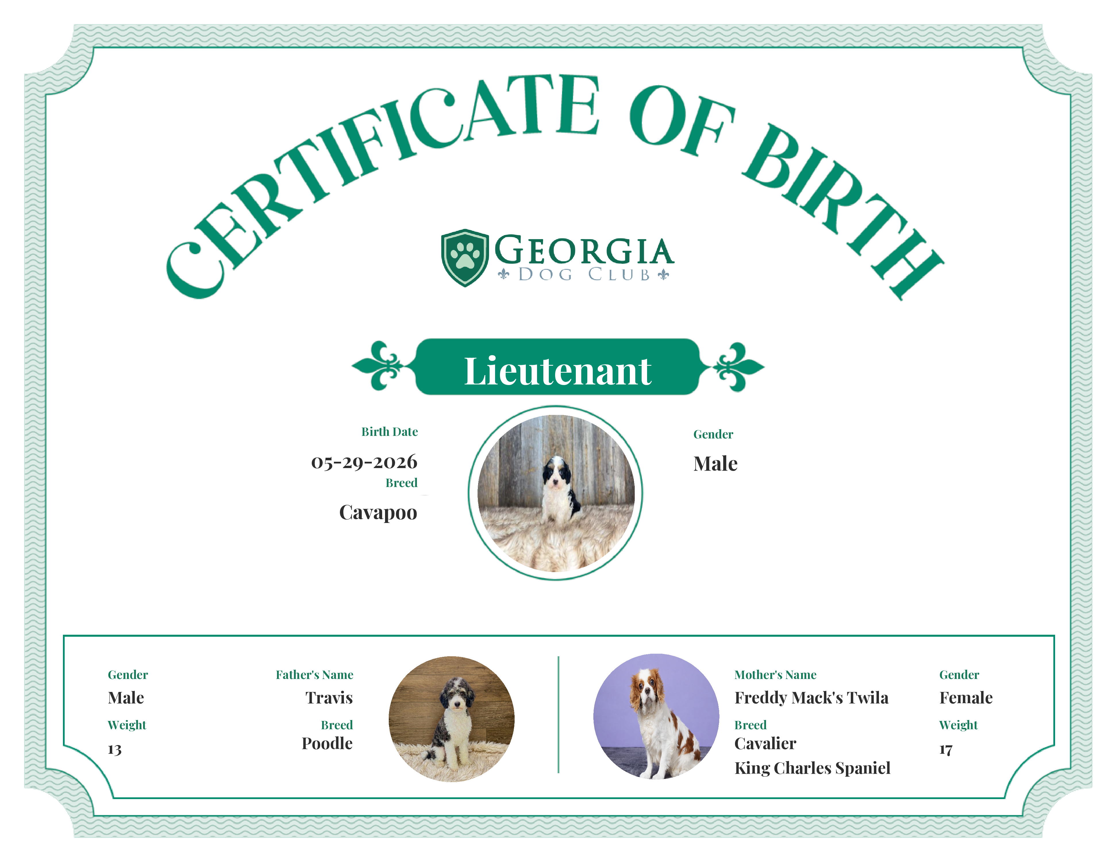Lieutenant's Birth Certificate