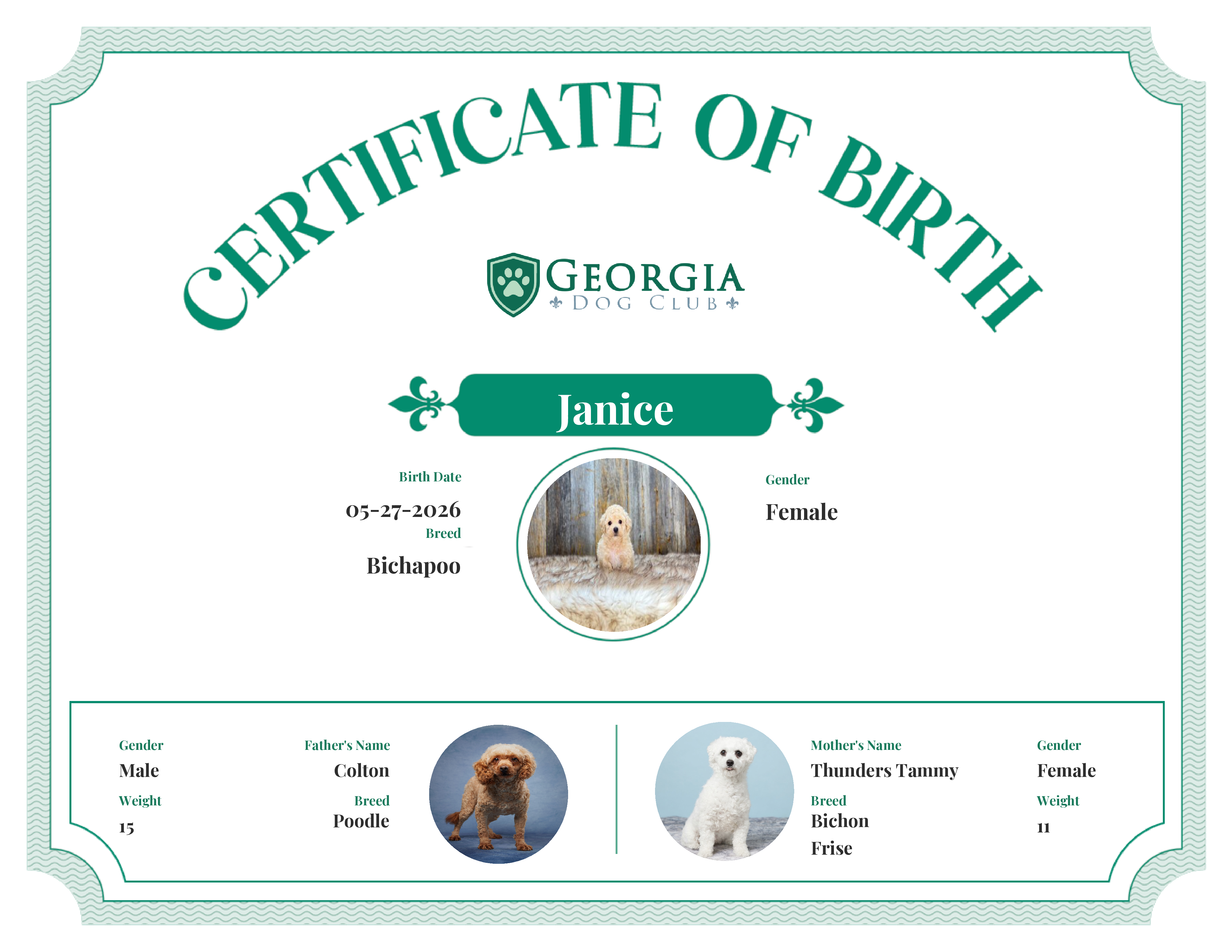 Janice's Birth Certificate