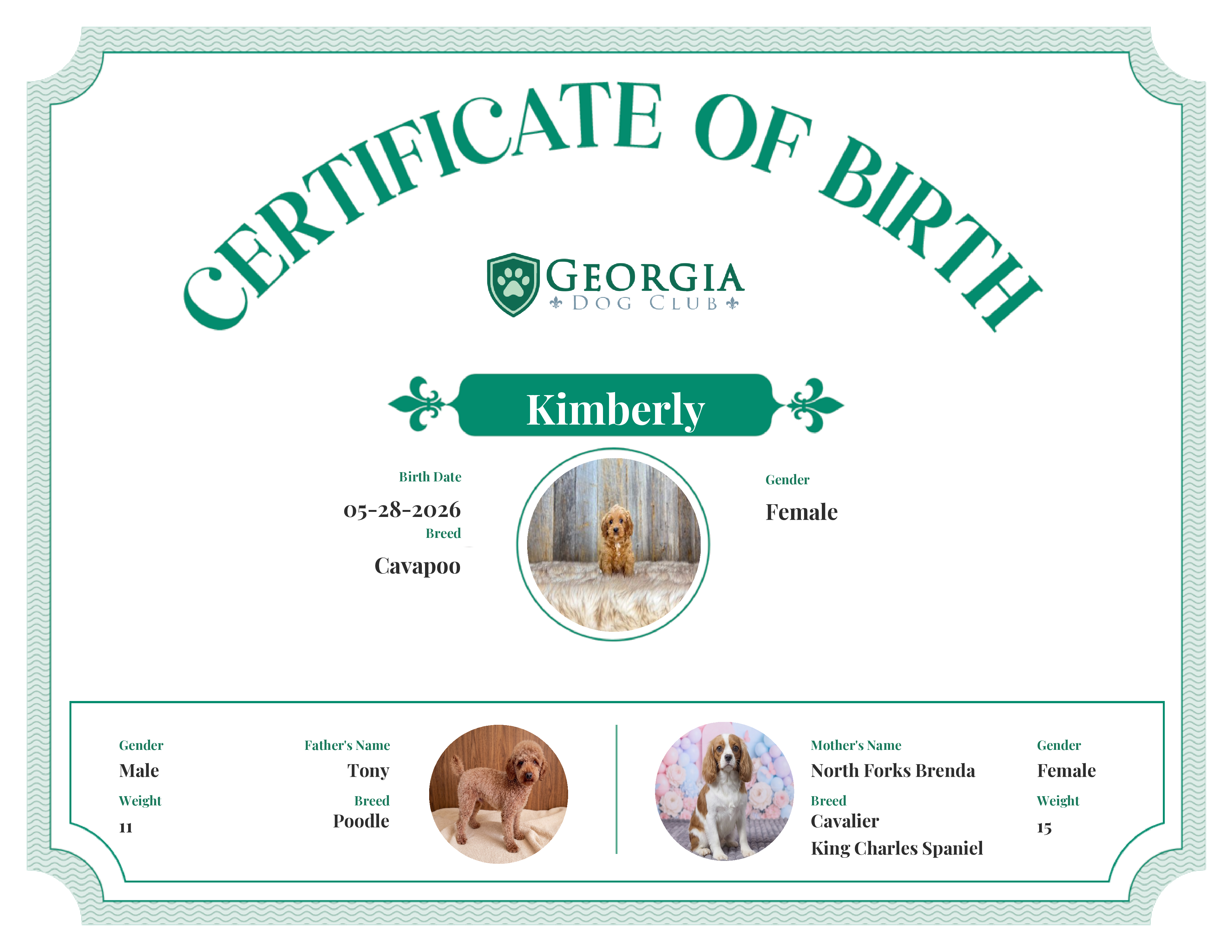 Kimberly's Birth Certificate
