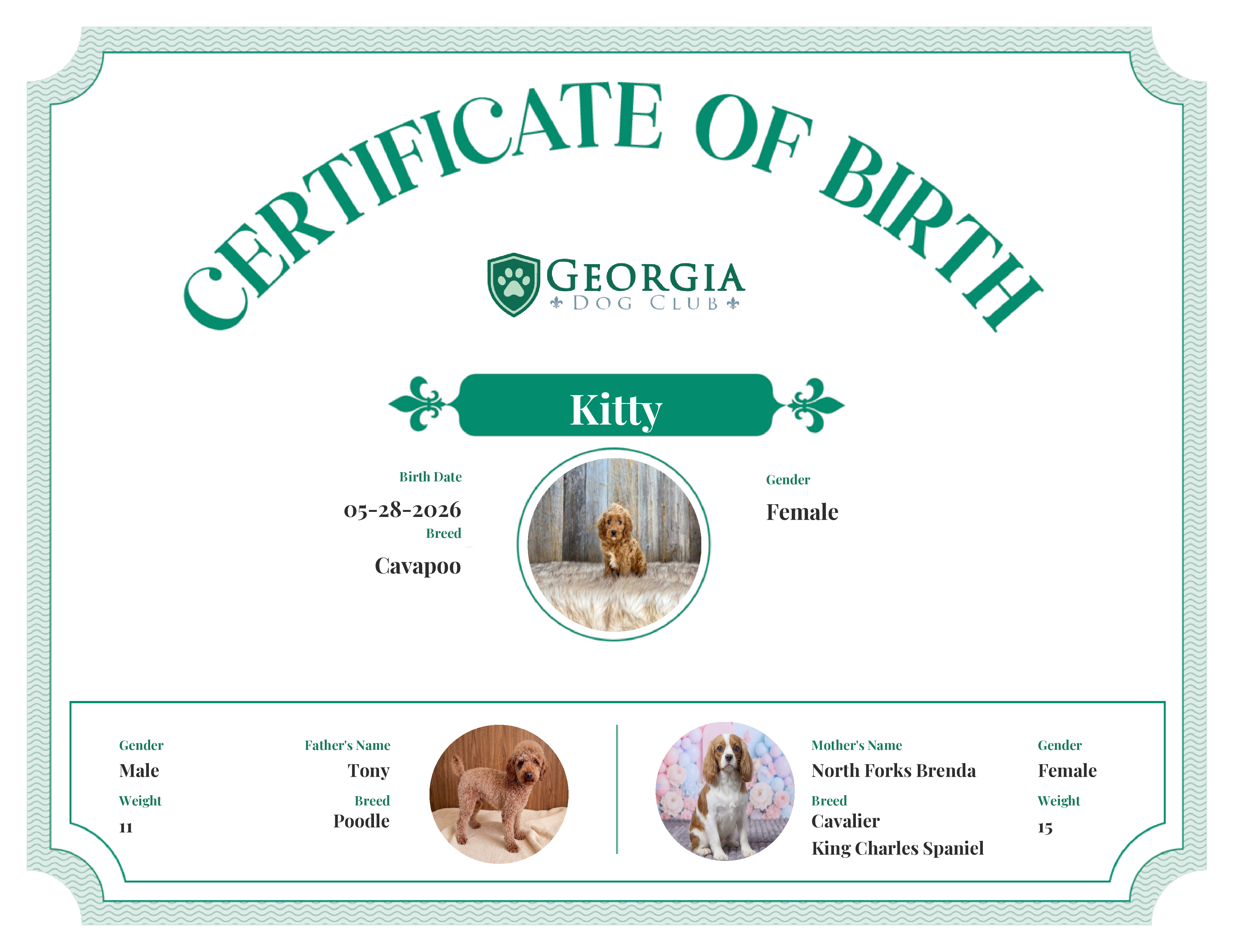 Kitty's Birth Certificate
