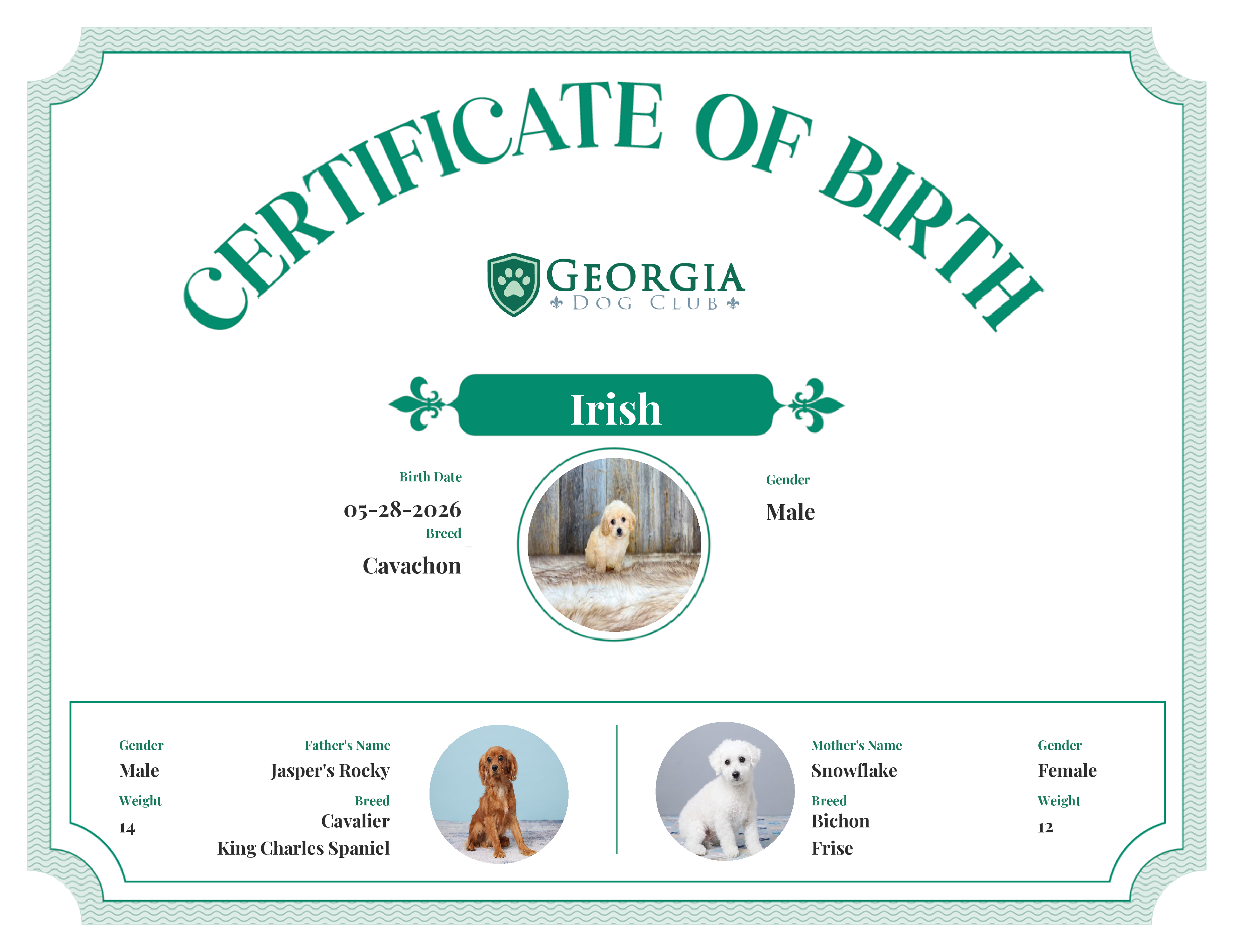 Irish's Birth Certificate
