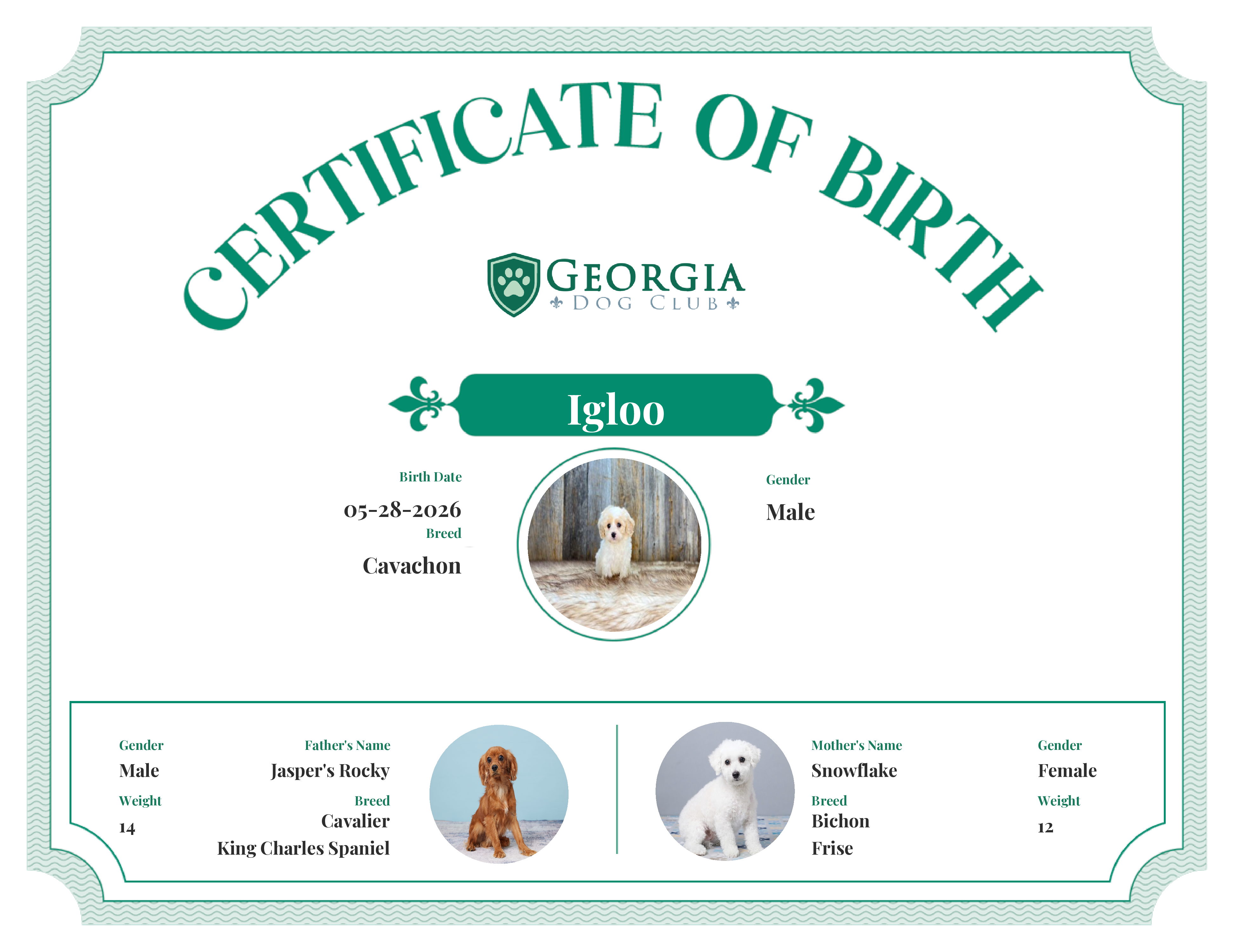 Igloo's Birth Certificate