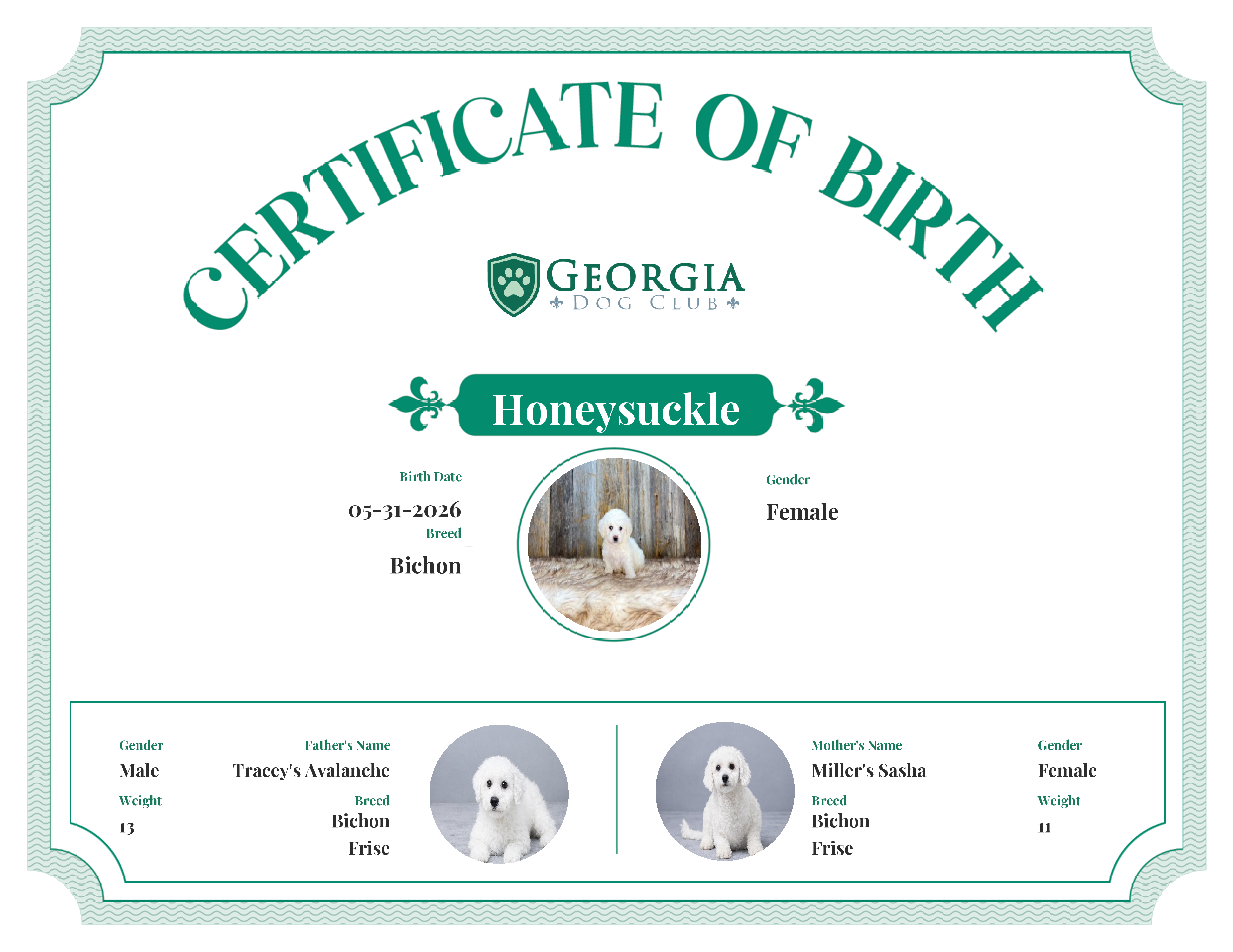 Honeysuckle's Birth Certificate