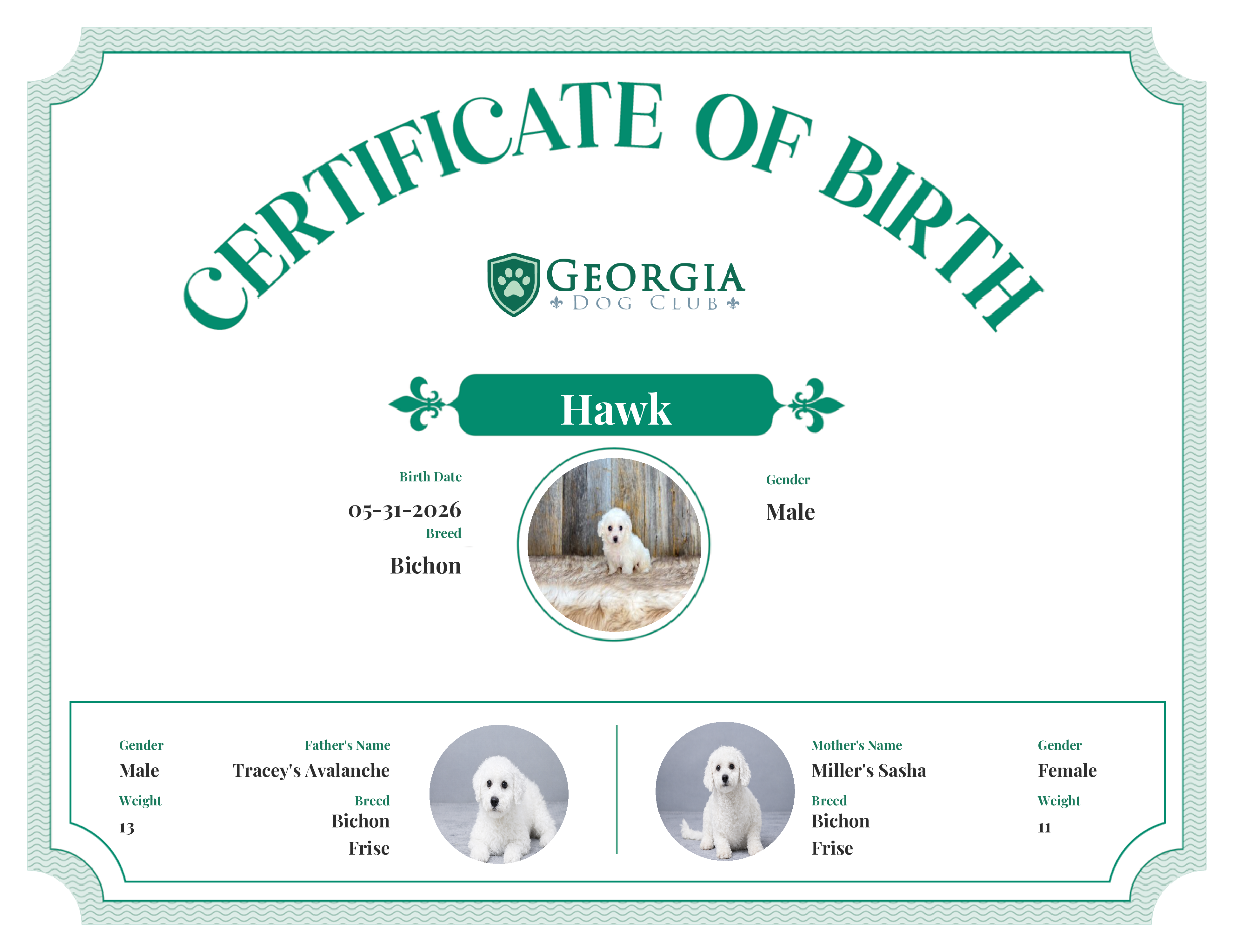 Hawk's Birth Certificate