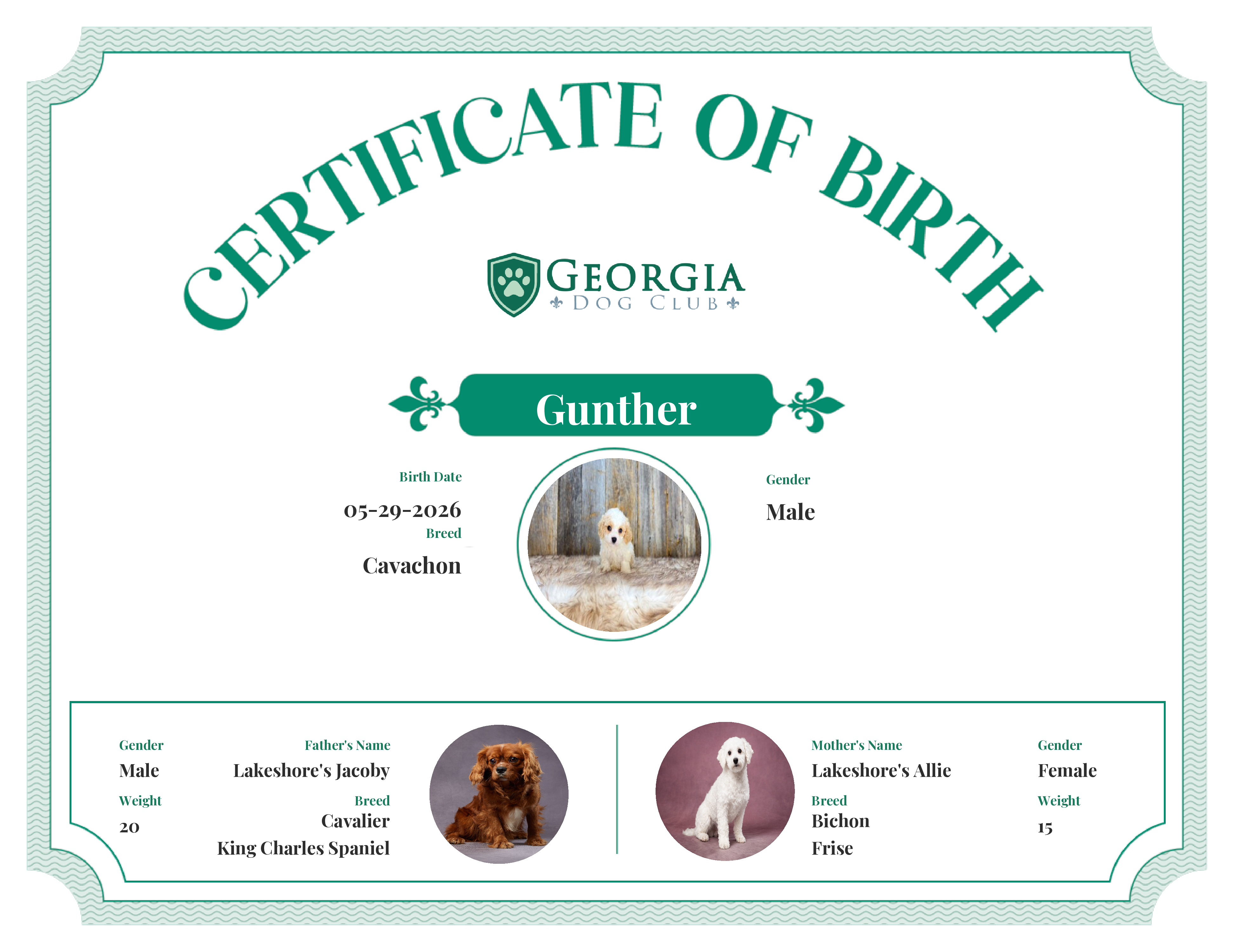 Gunther's Birth Certificate