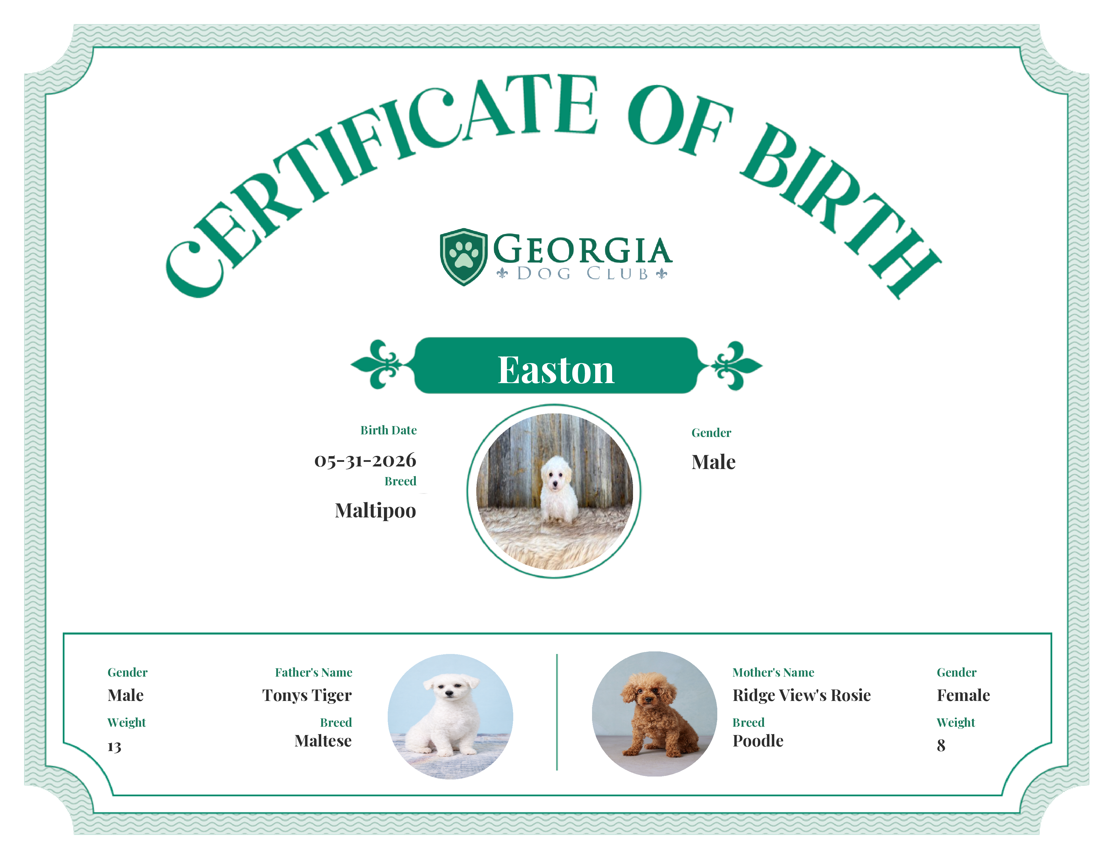 Easton's Birth Certificate