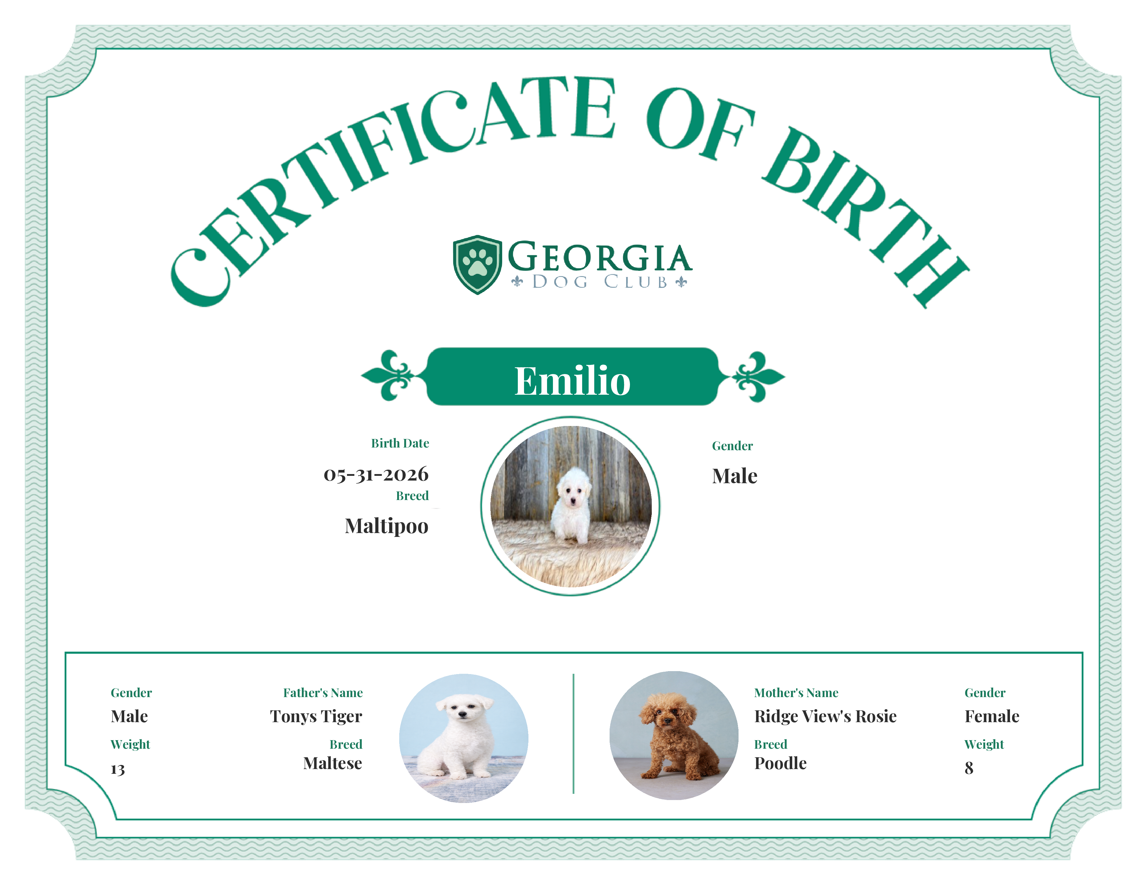 Emilio's Birth Certificate