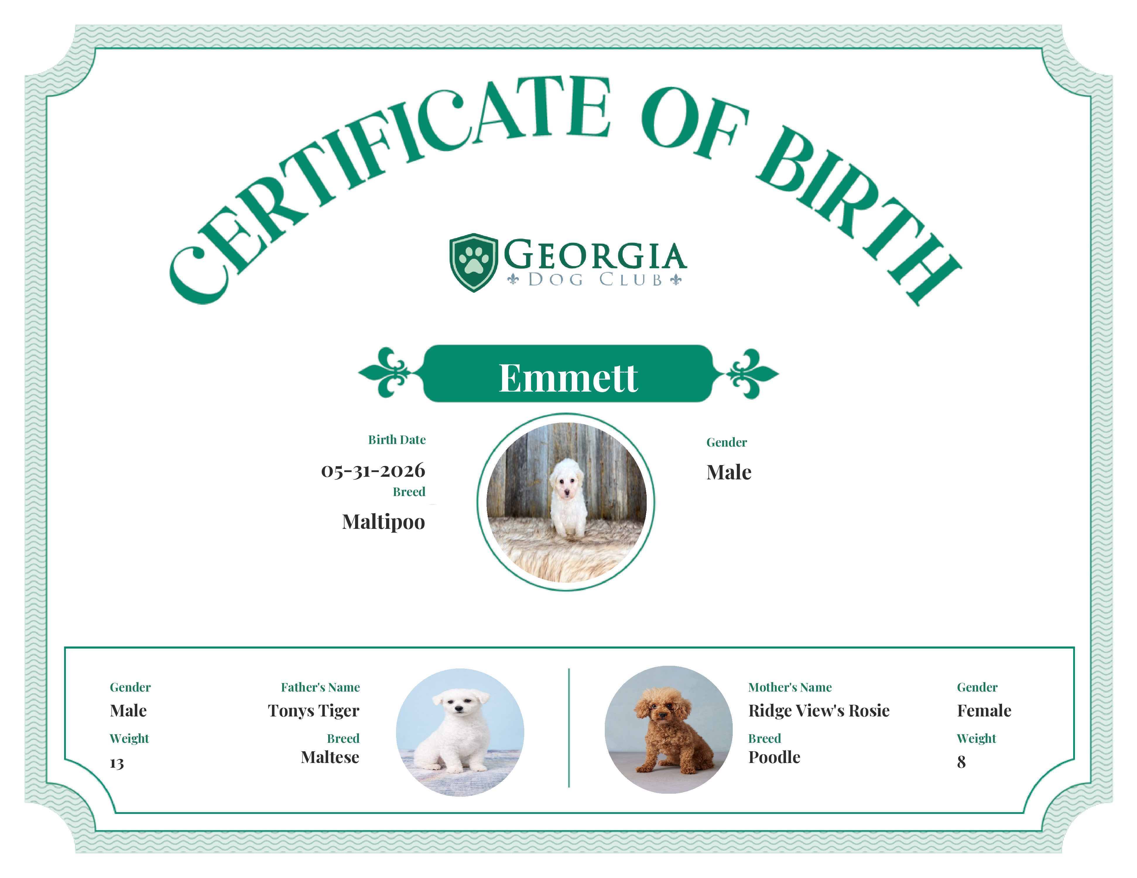 Emmett's Birth Certificate