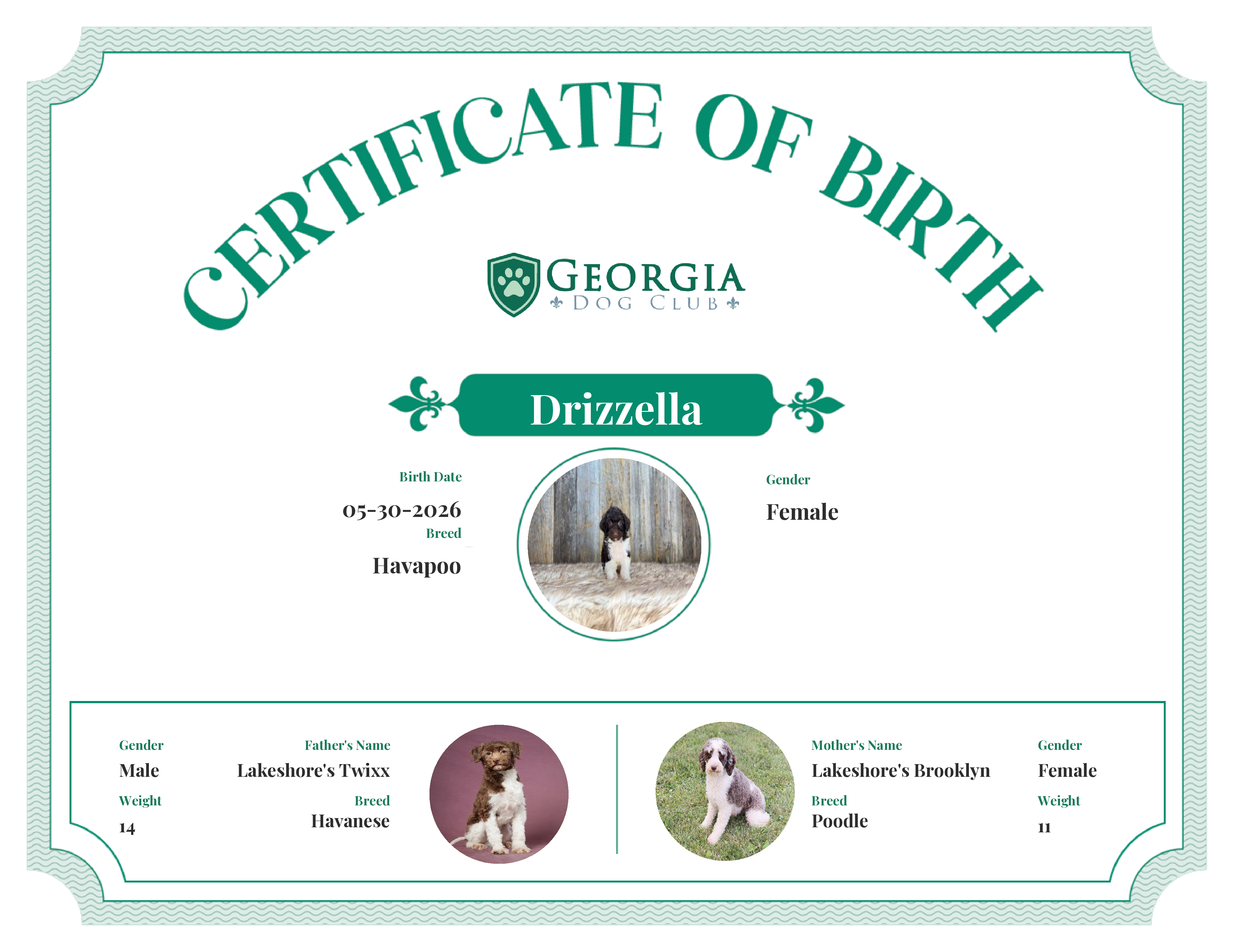 Drizzella's Birth Certificate