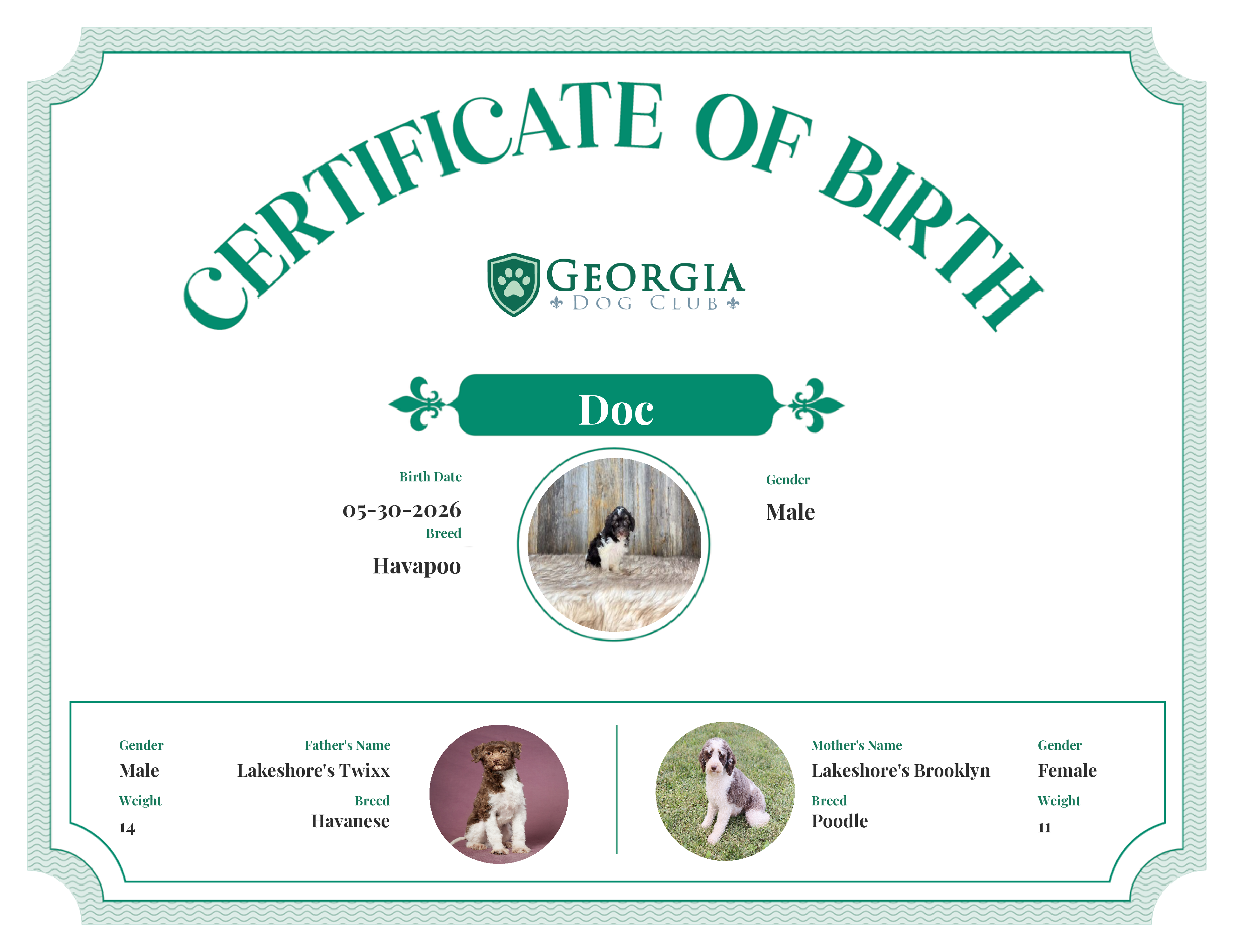 Doc's Birth Certificate
