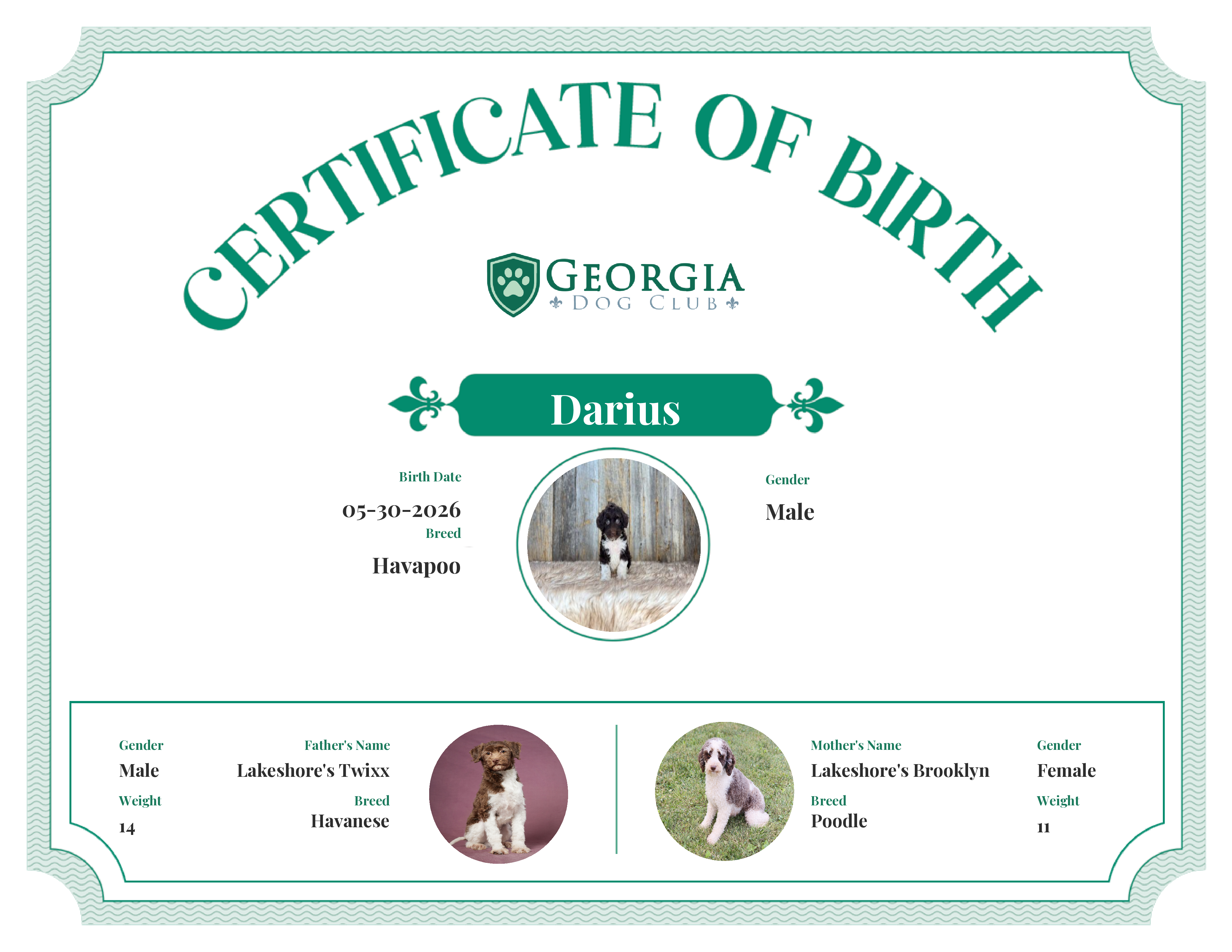 Darius's Birth Certificate