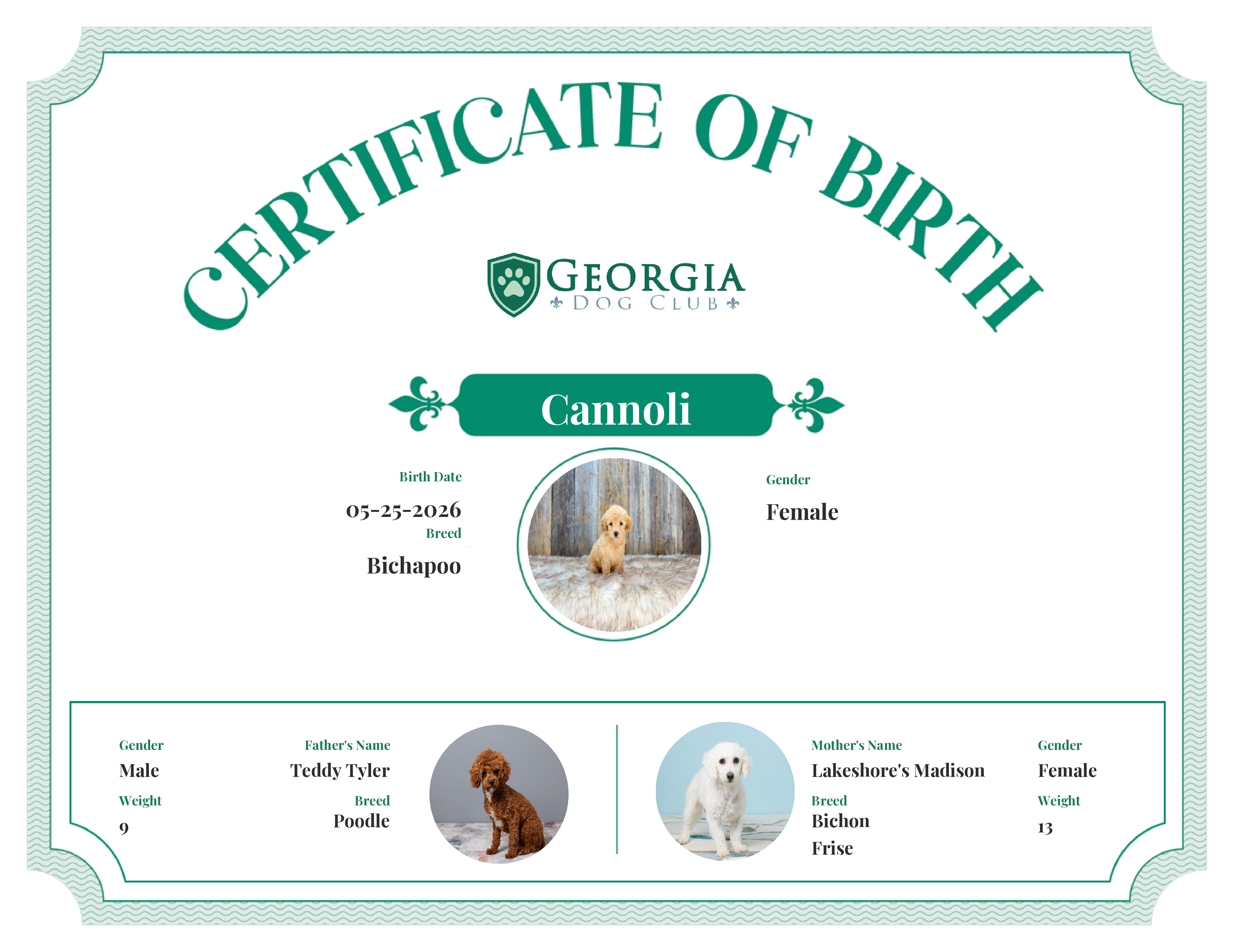Cannoli's Birth Certificate