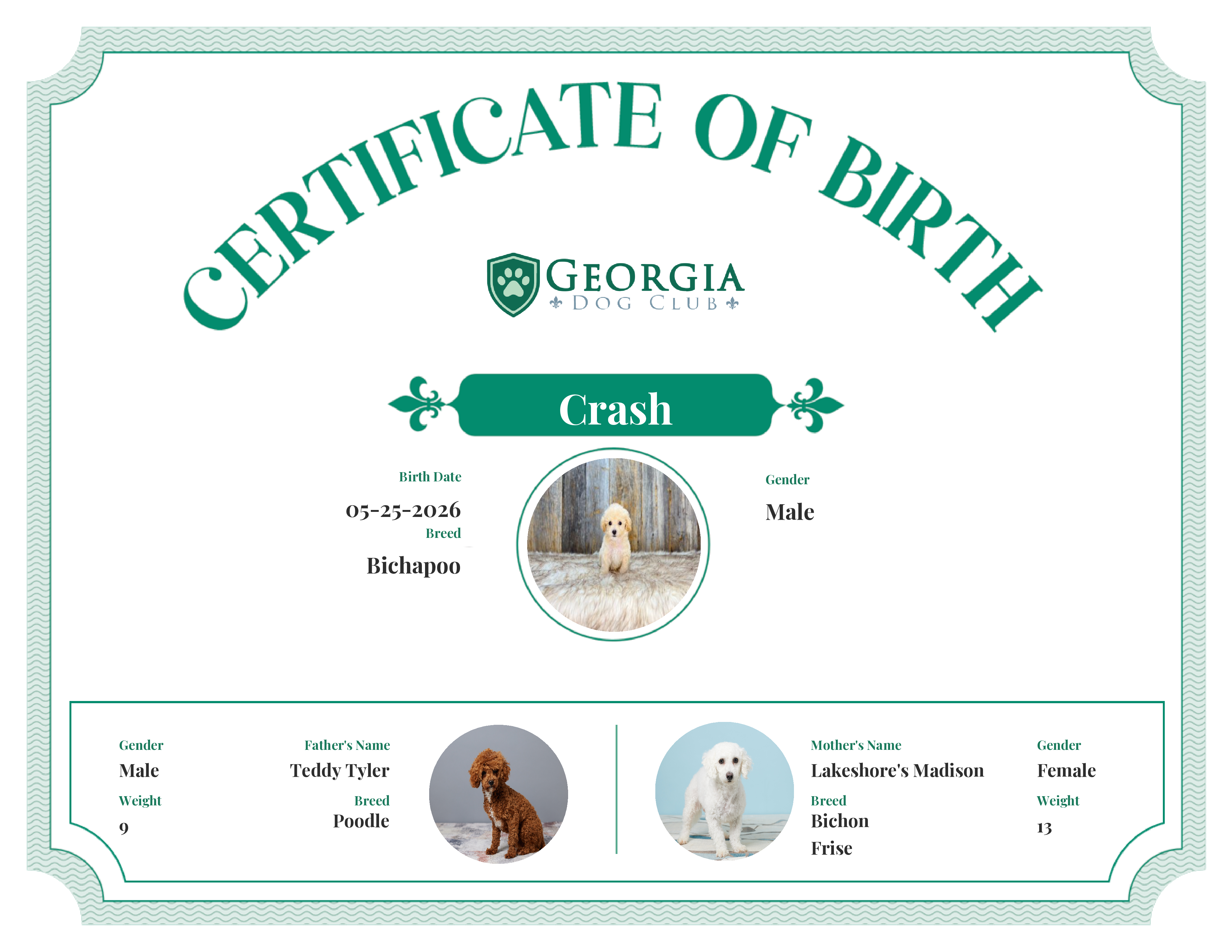 Crash's Birth Certificate