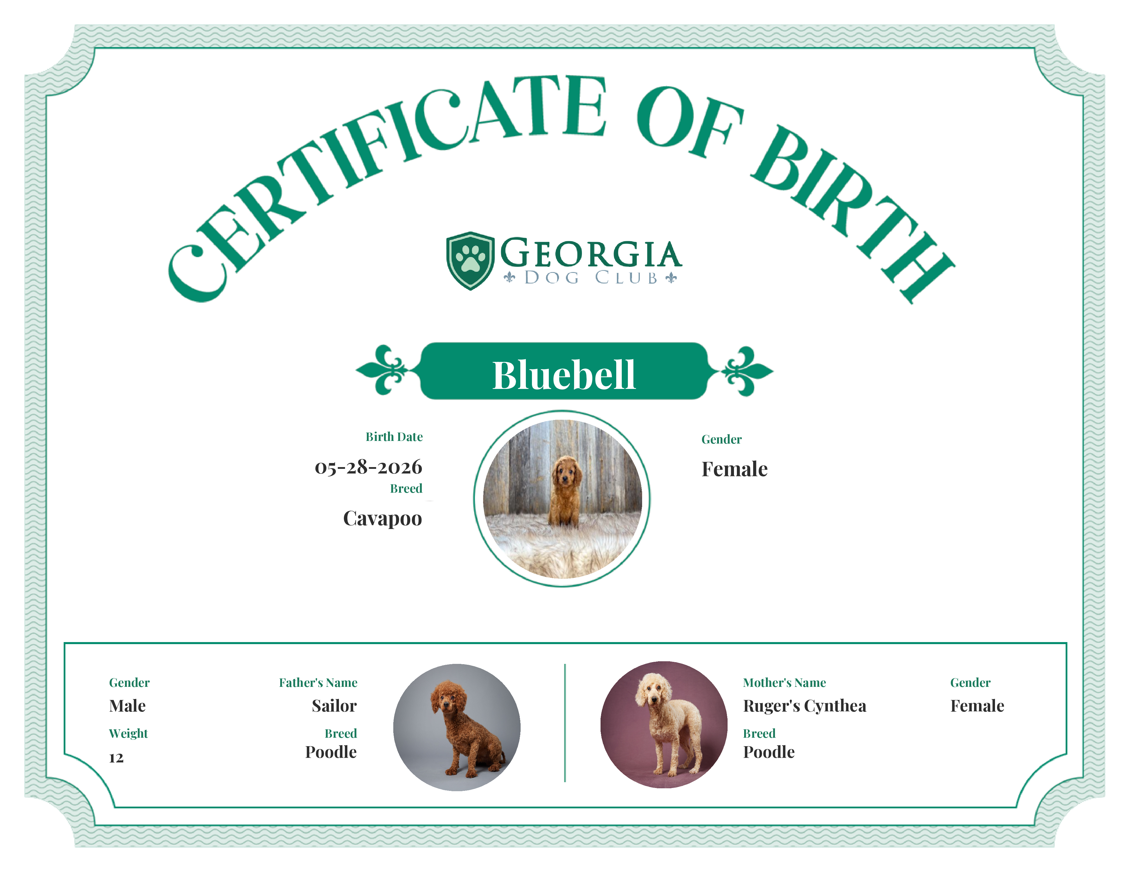 Bluebell's Birth Certificate