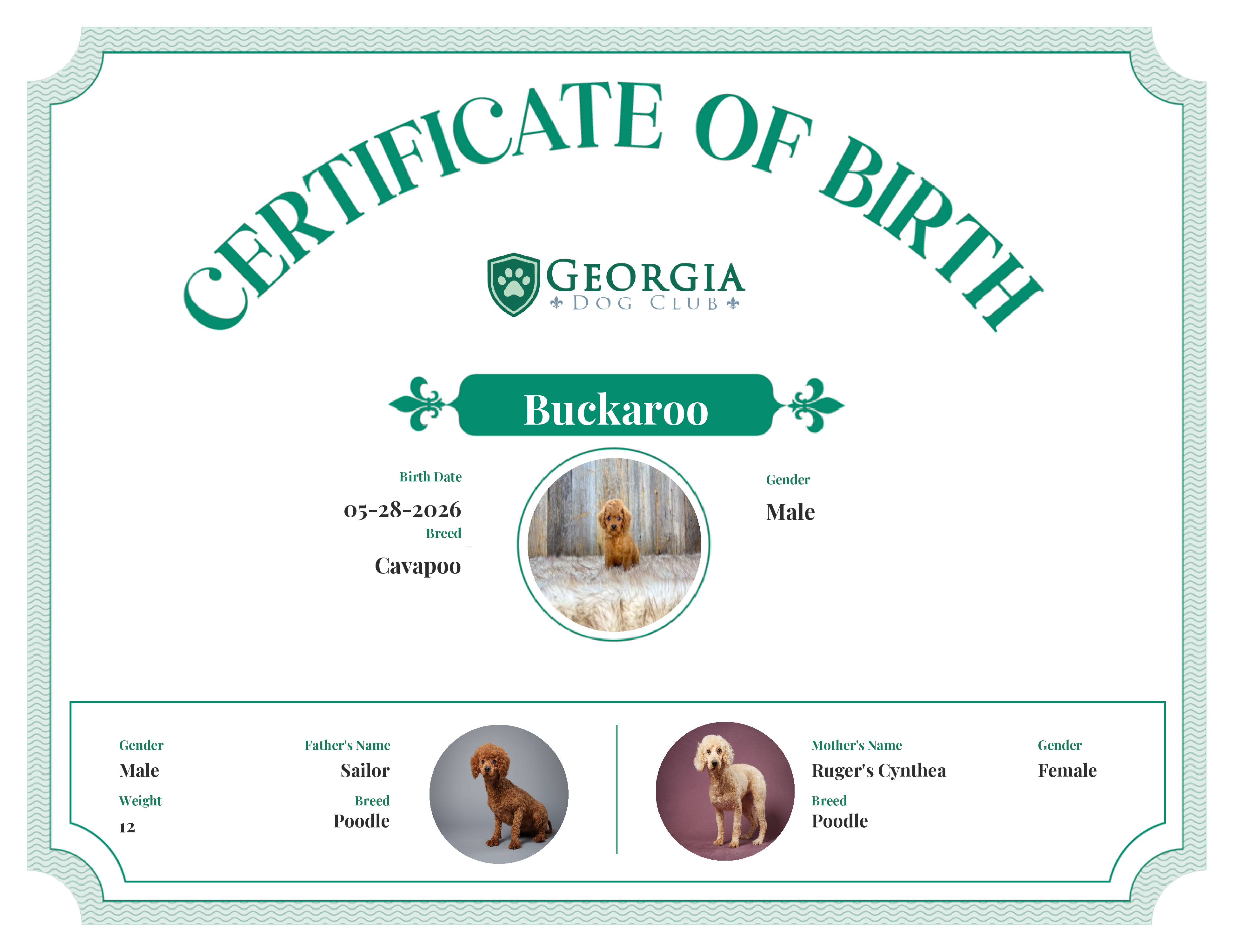 Buckaroo's Birth Certificate