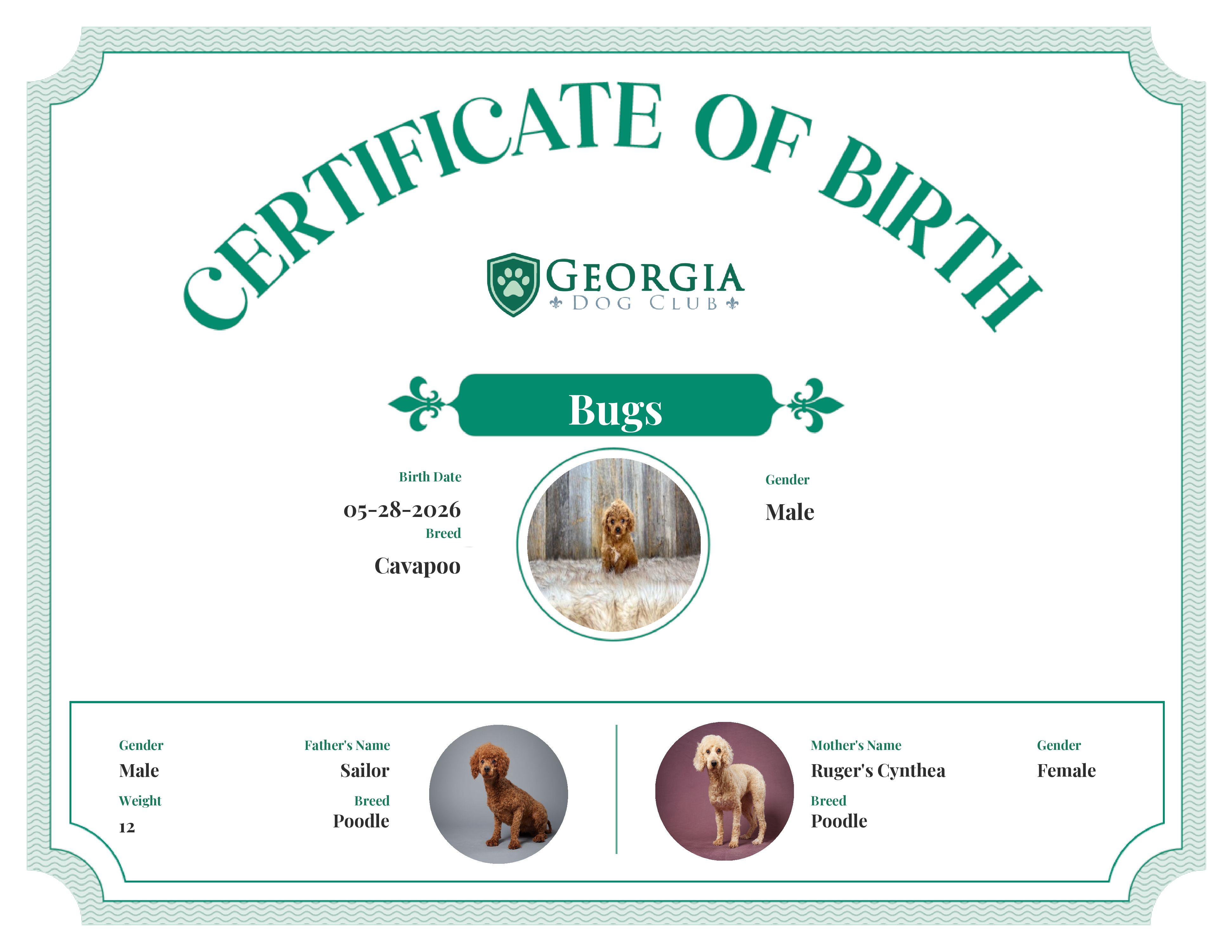 Bugs's Birth Certificate