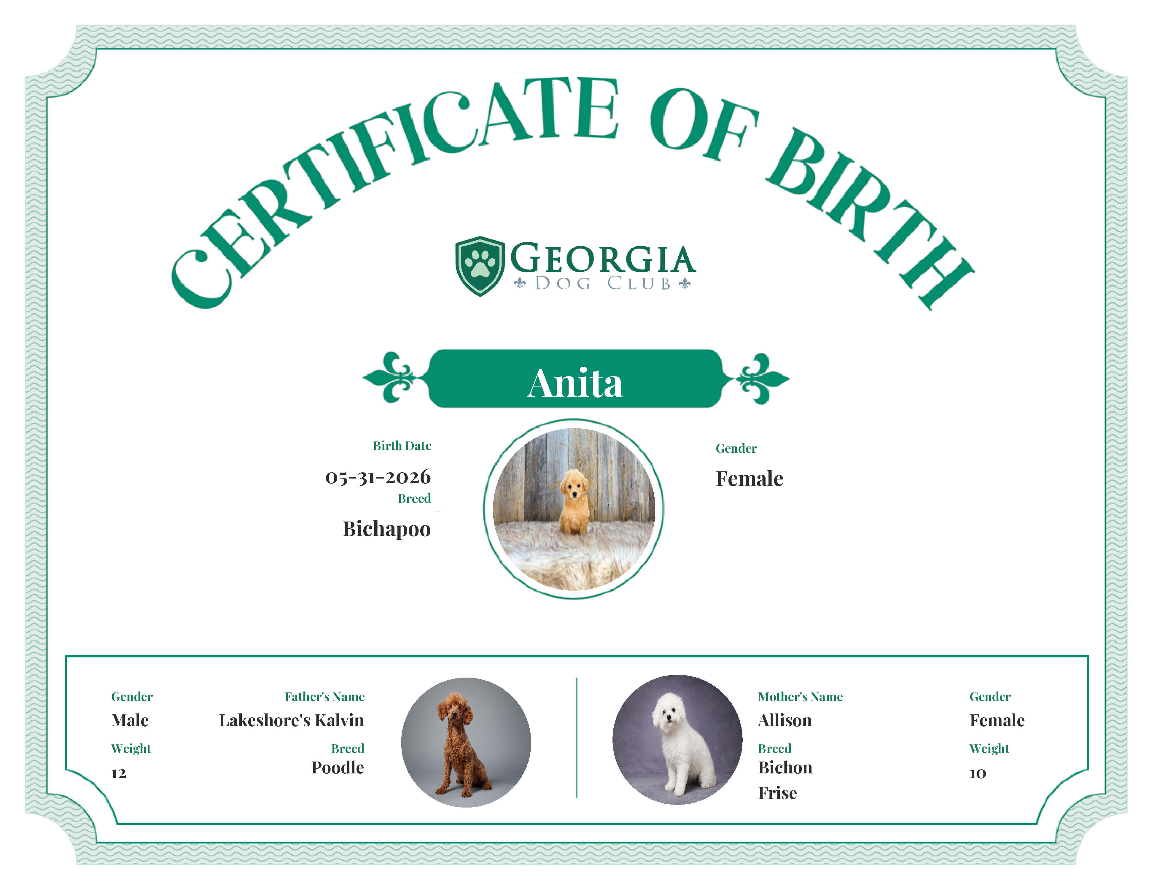 Anita's Birth Certificate