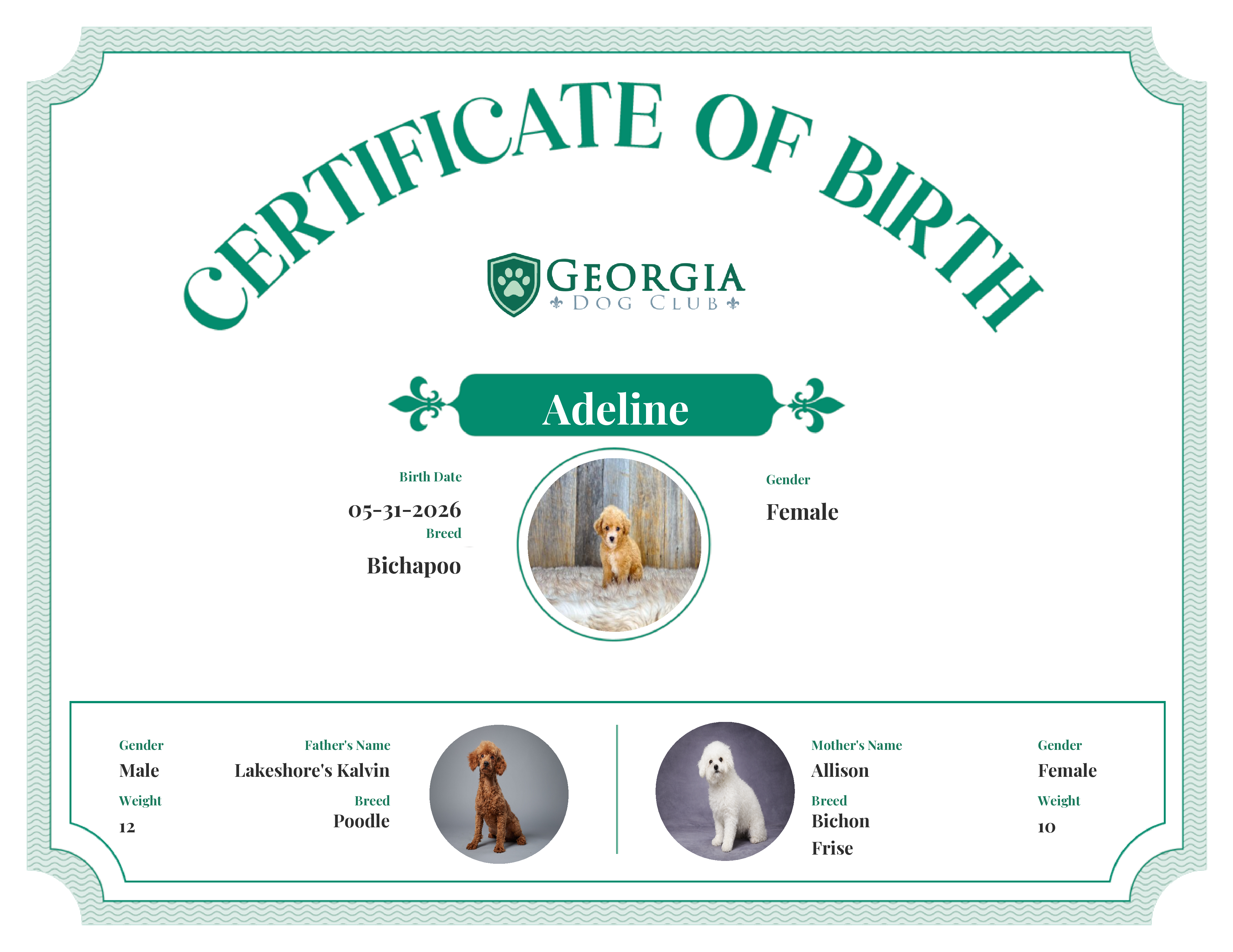 Adeline's Birth Certificate