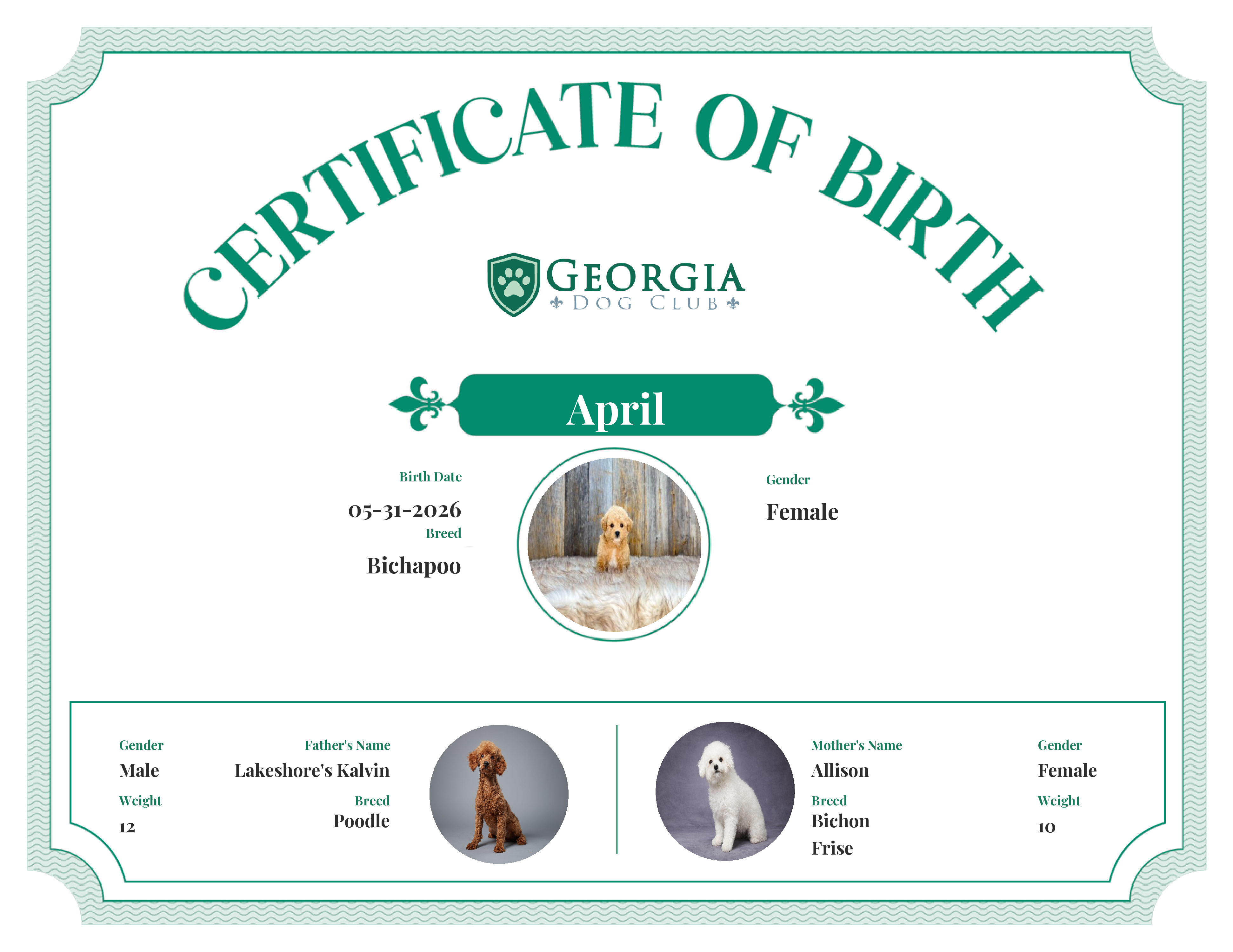 April's Birth Certificate