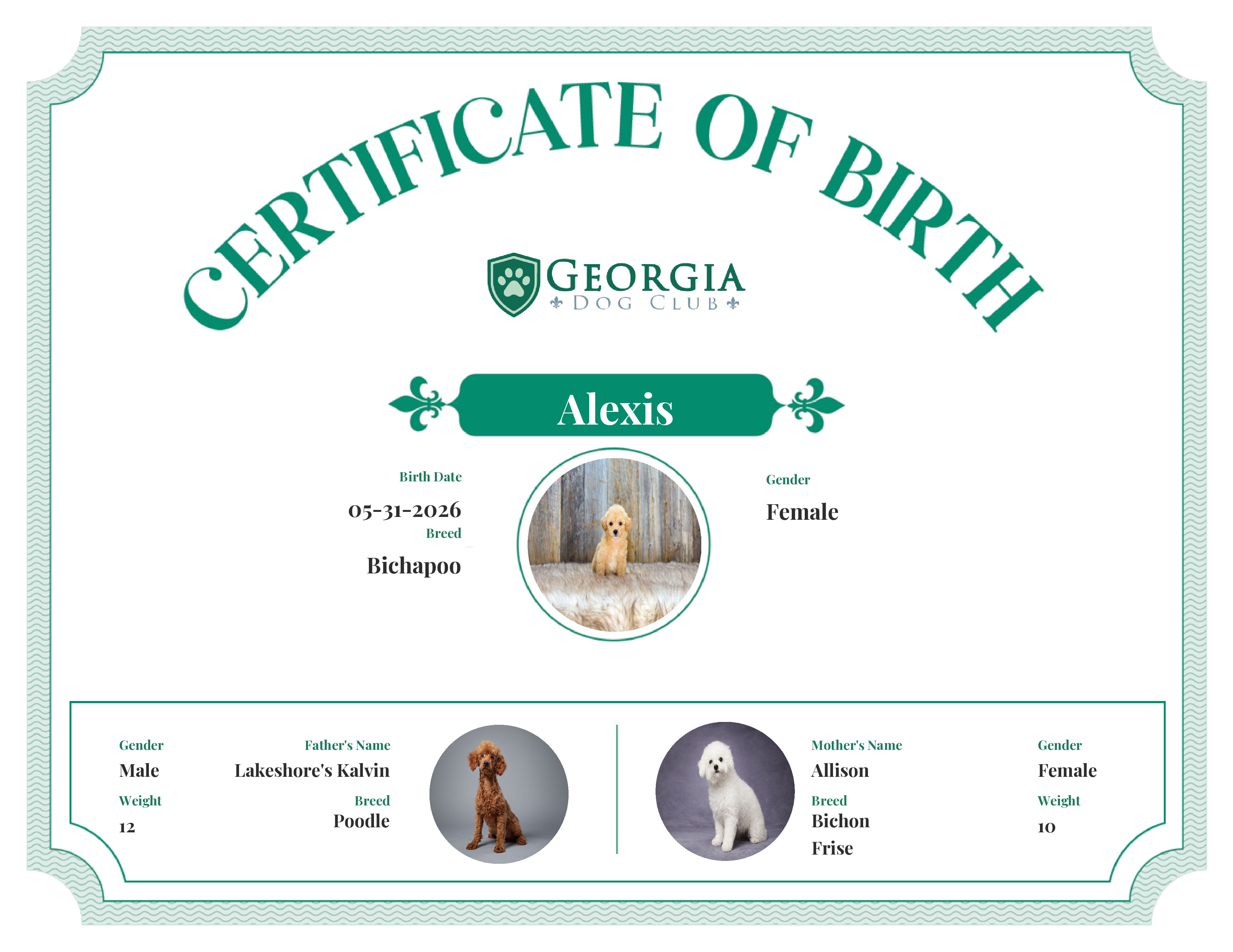 Alexis's Birth Certificate
