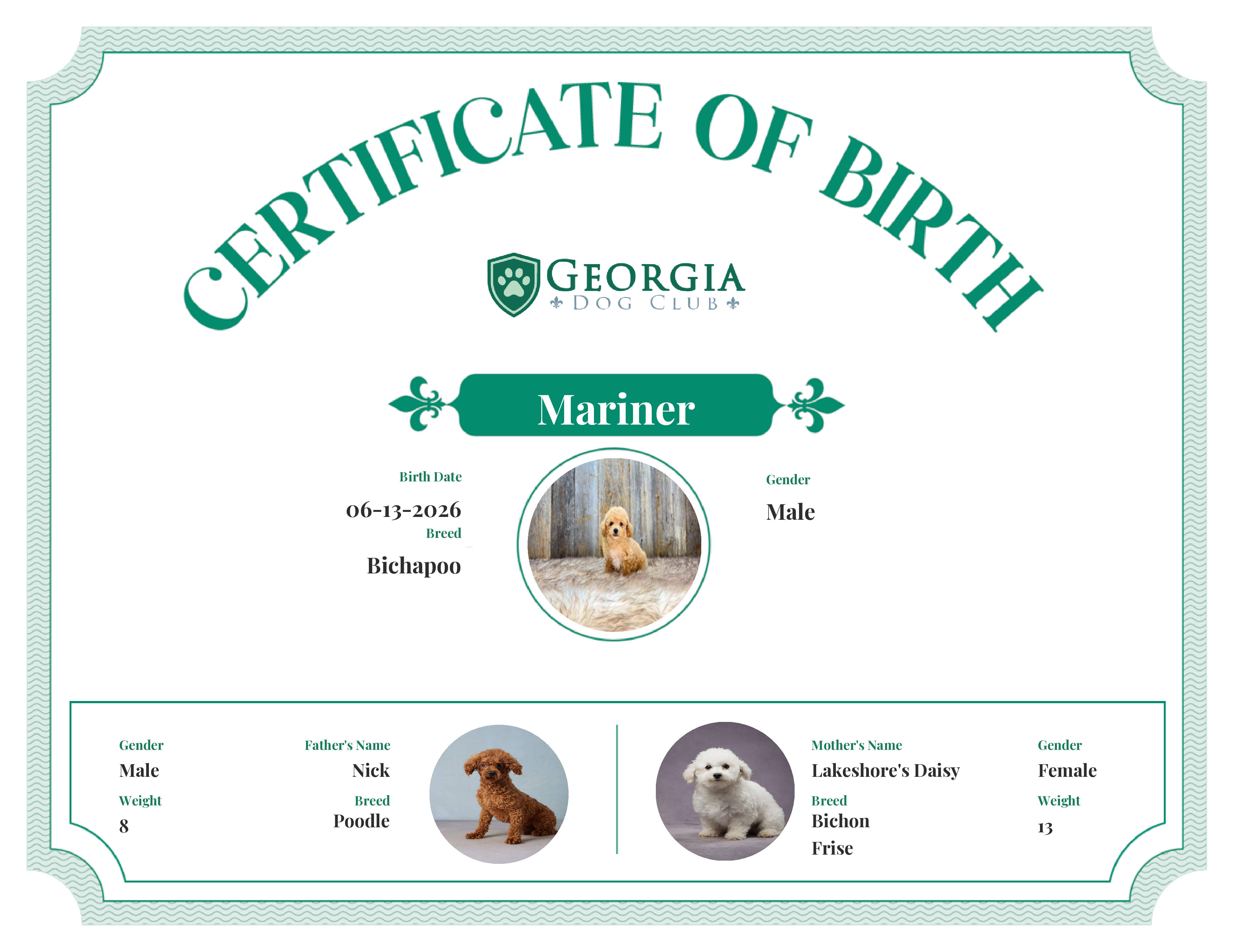 Mariner's Birth Certificate
