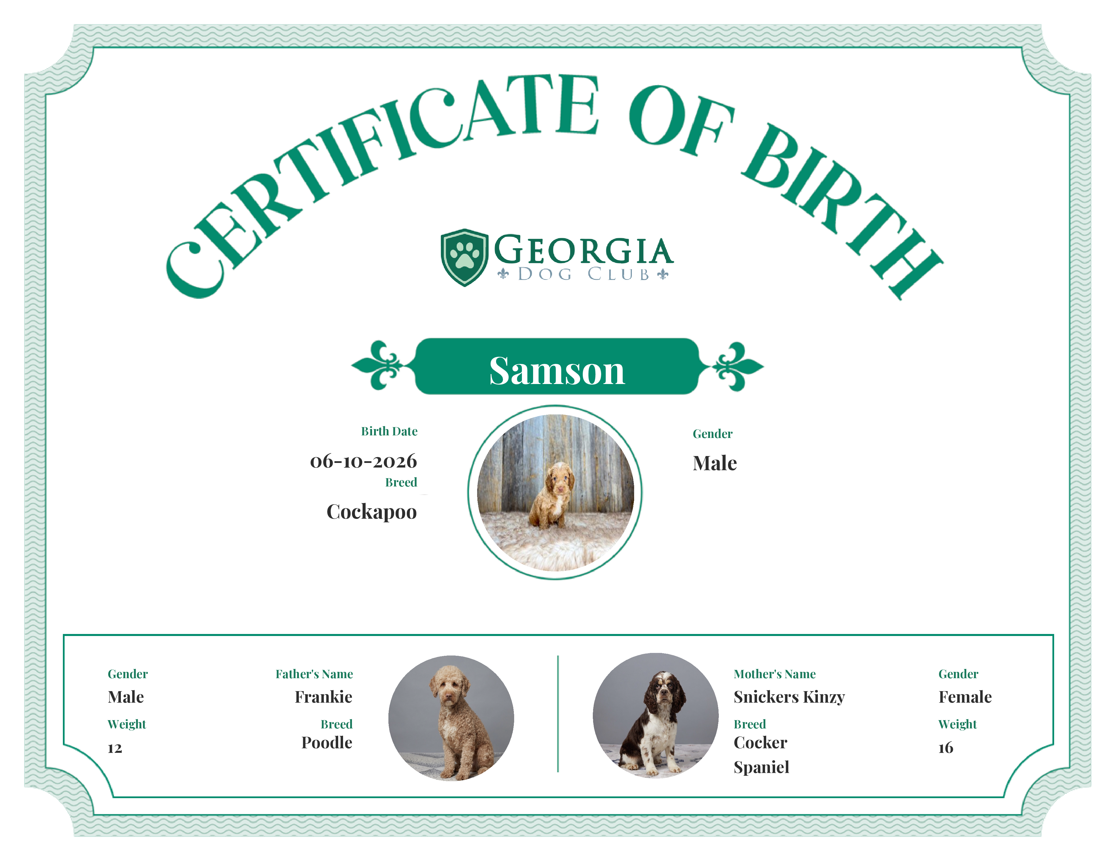 Samson's Birth Certificate