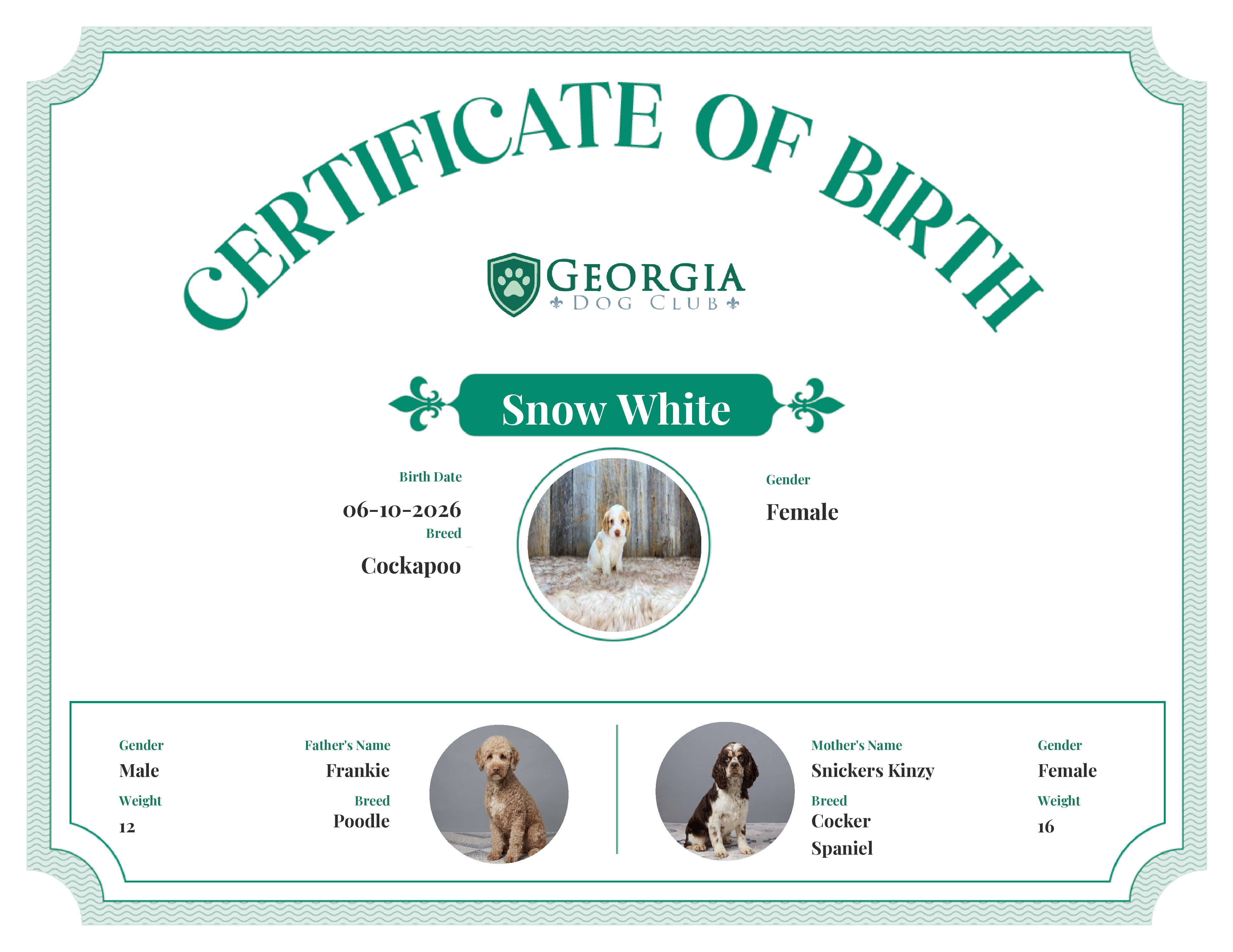 Snow White's Birth Certificate