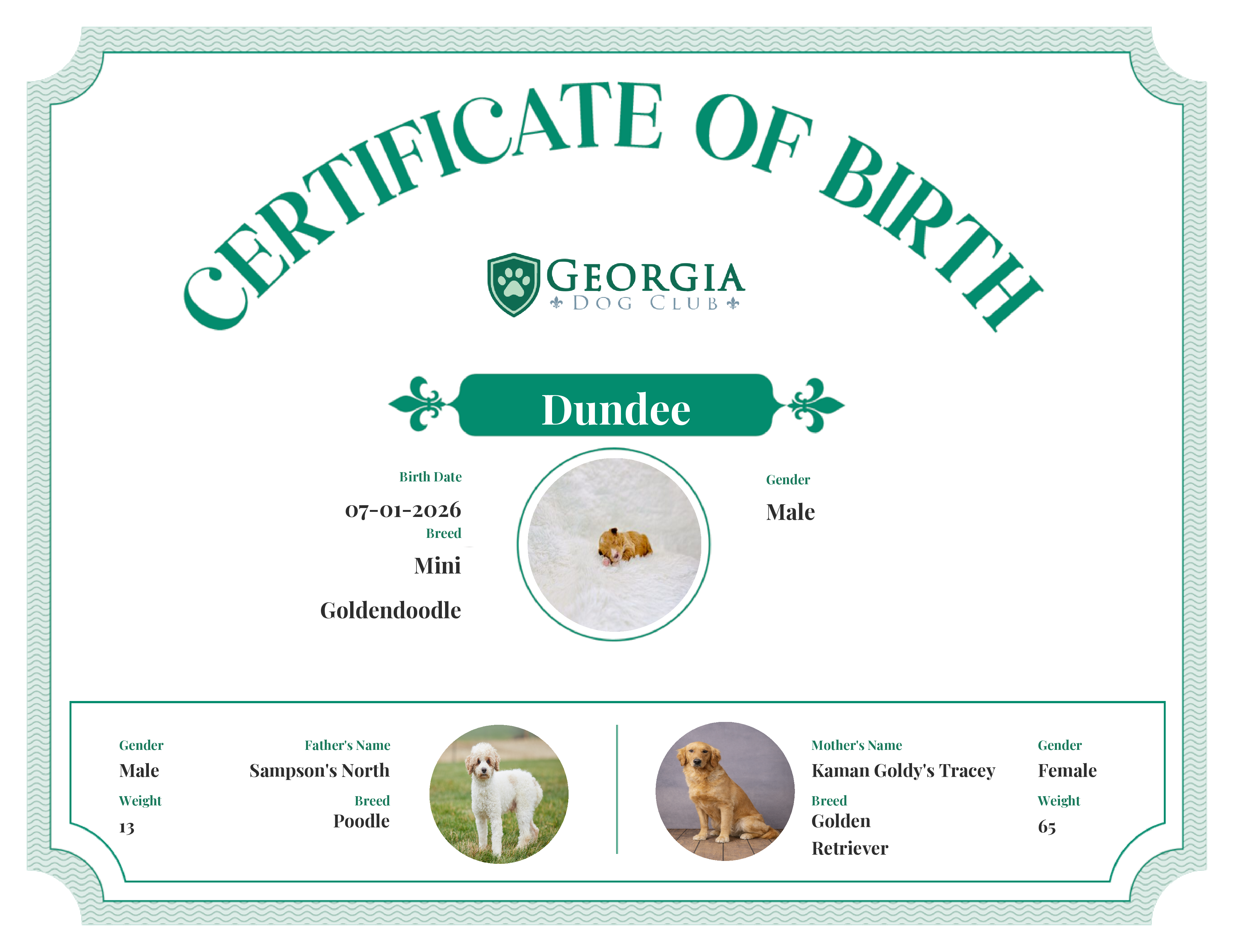 Dundee's Birth Certificate