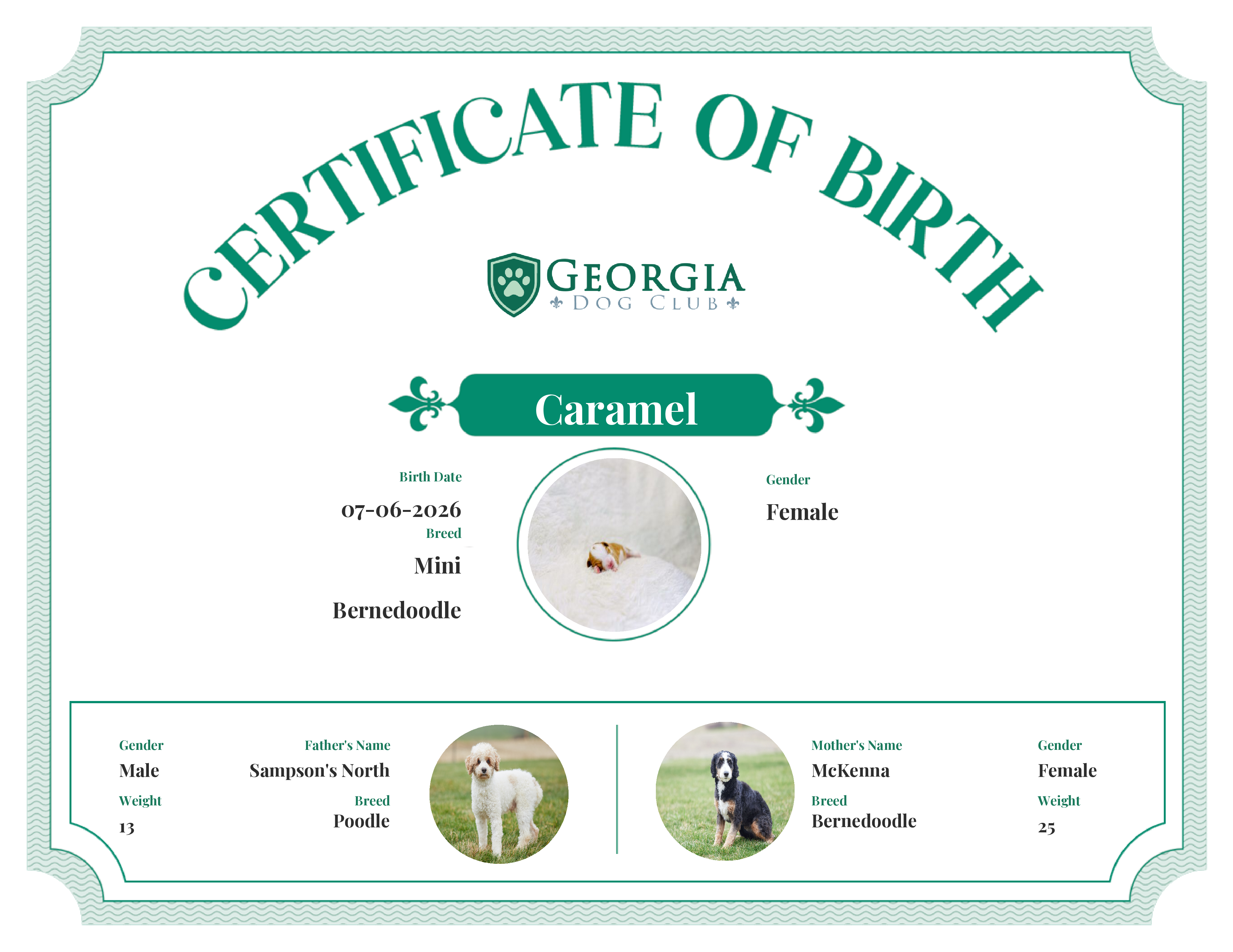 Caramel's Birth Certificate
