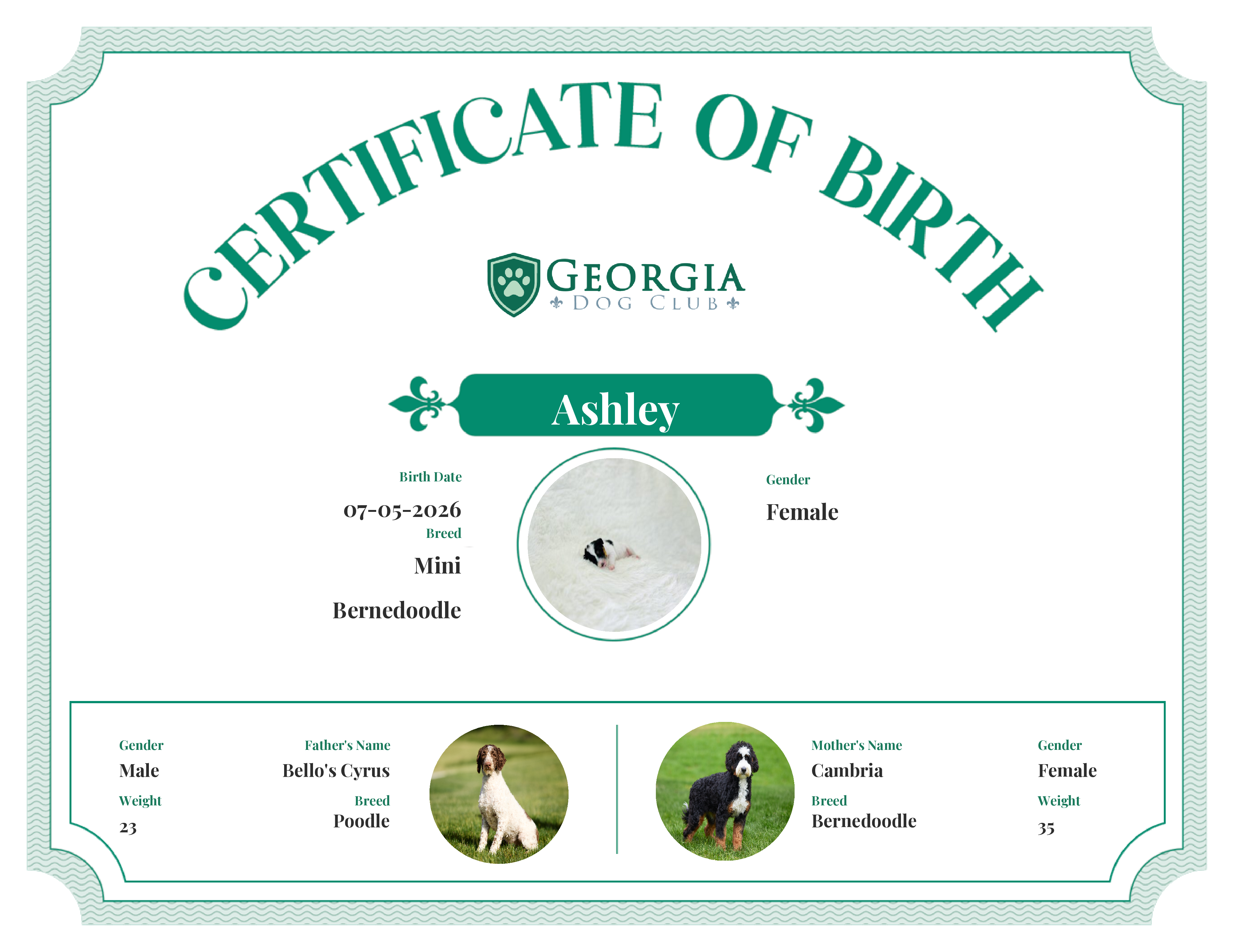 Ashley's Birth Certificate