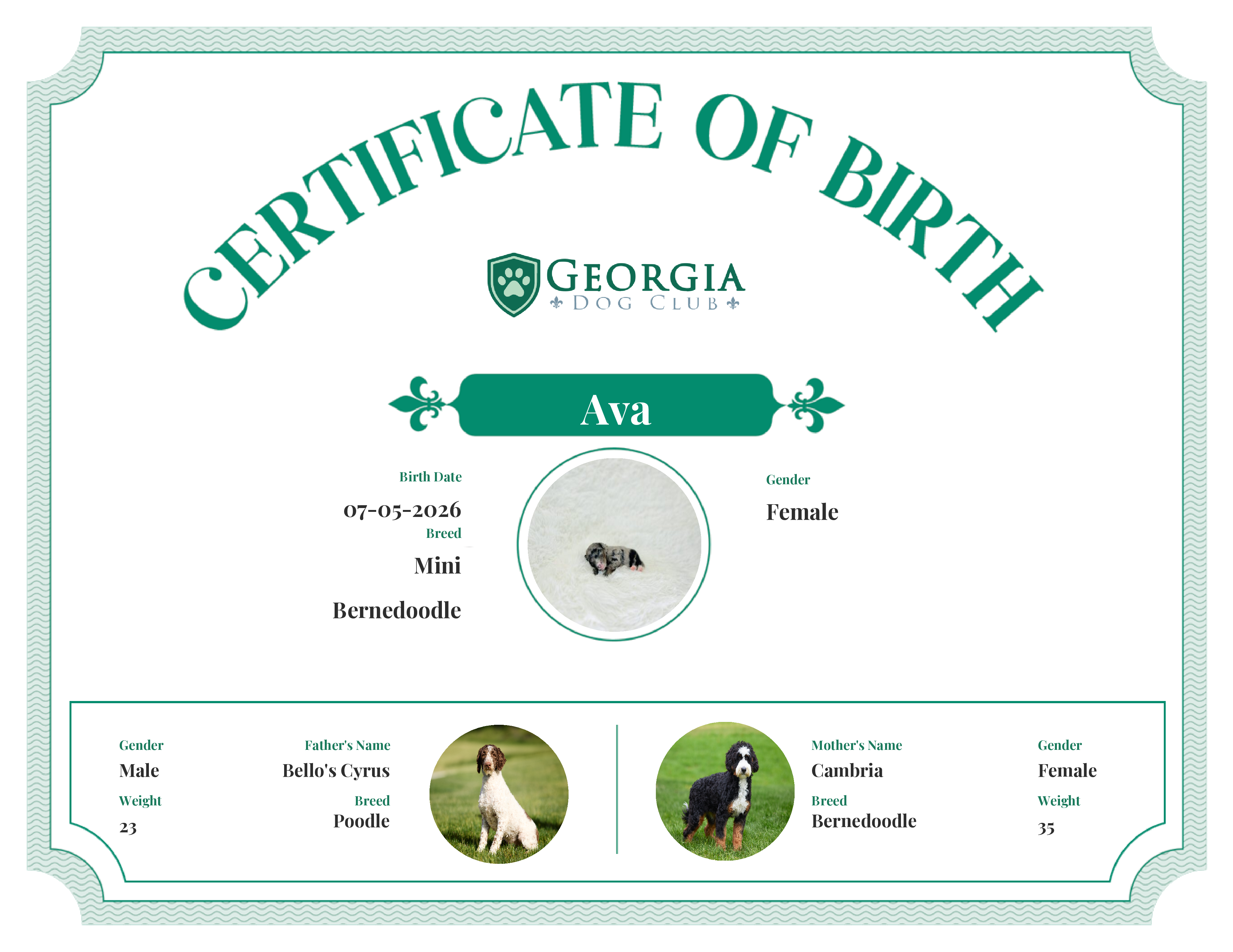Ava's Birth Certificate