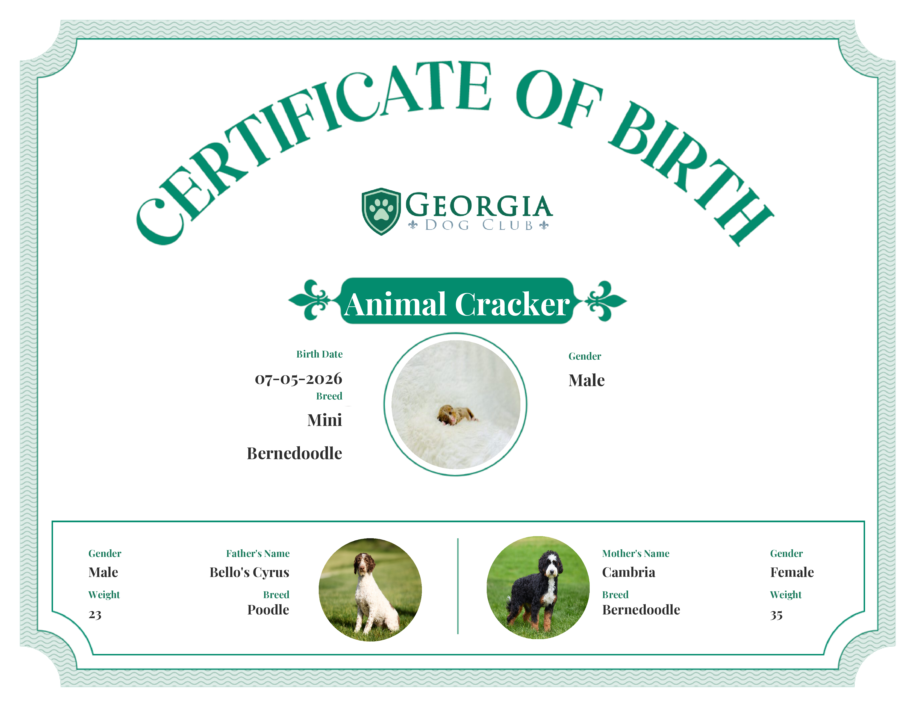 Animal Cracker's Birth Certificate